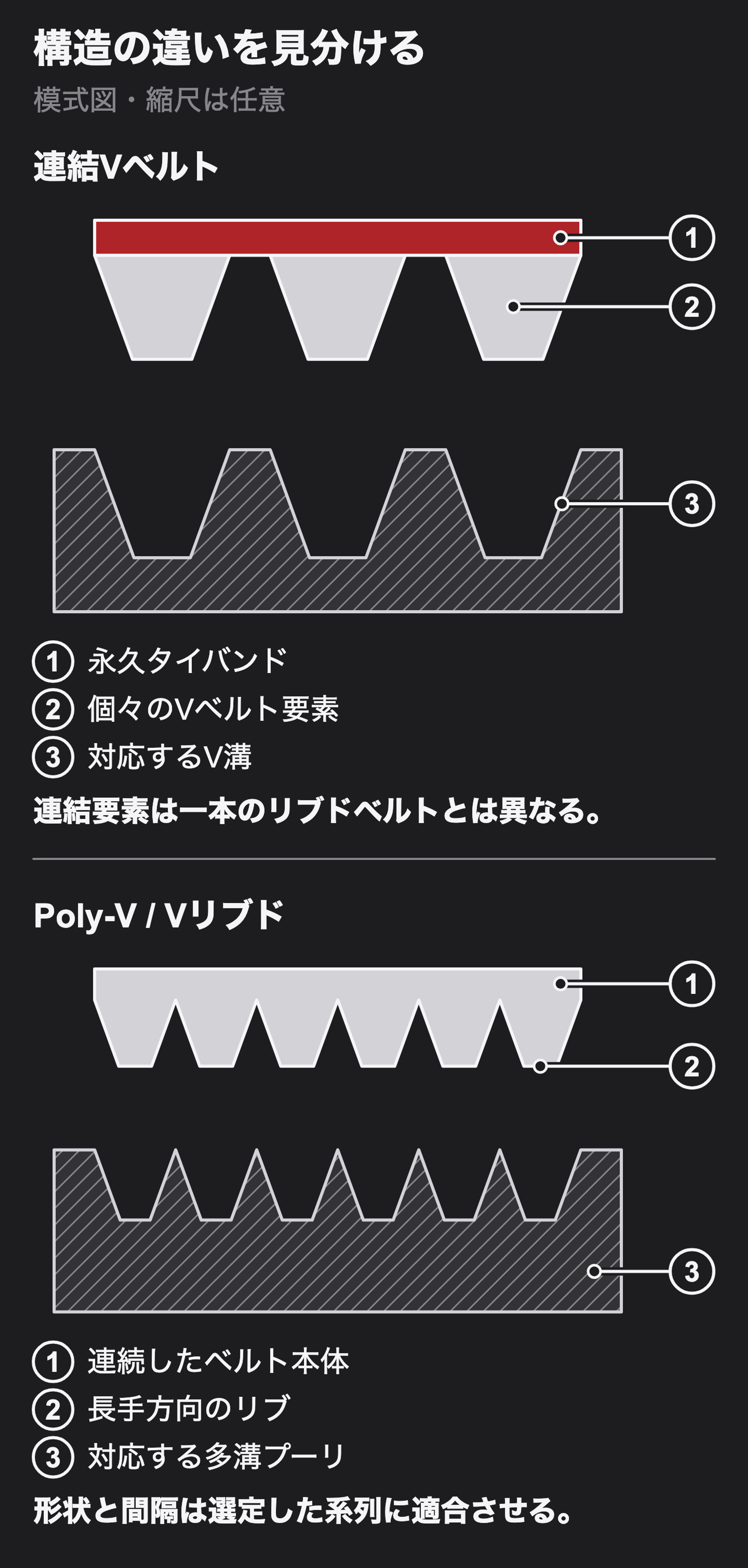 タイバンドとV要素、連続したPoly-V本体と長手方向のリブを別々に示す分離断面図。各方式は専用の対応プーリを使用。