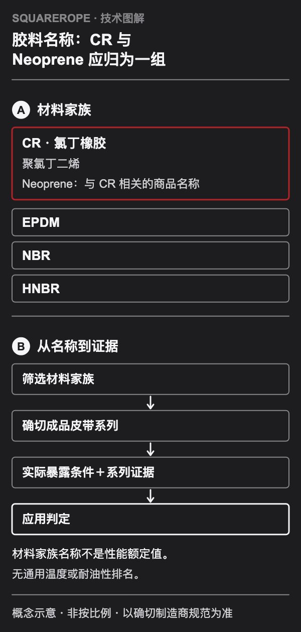 CR/氯丁橡胶/聚氯丁二烯列为同一材料家族,附 Neoprene 名称注记;EPDM、NBR 与 HNBR 各自分开。初筛后须确认确切皮带系列、暴露证据与应用判定。