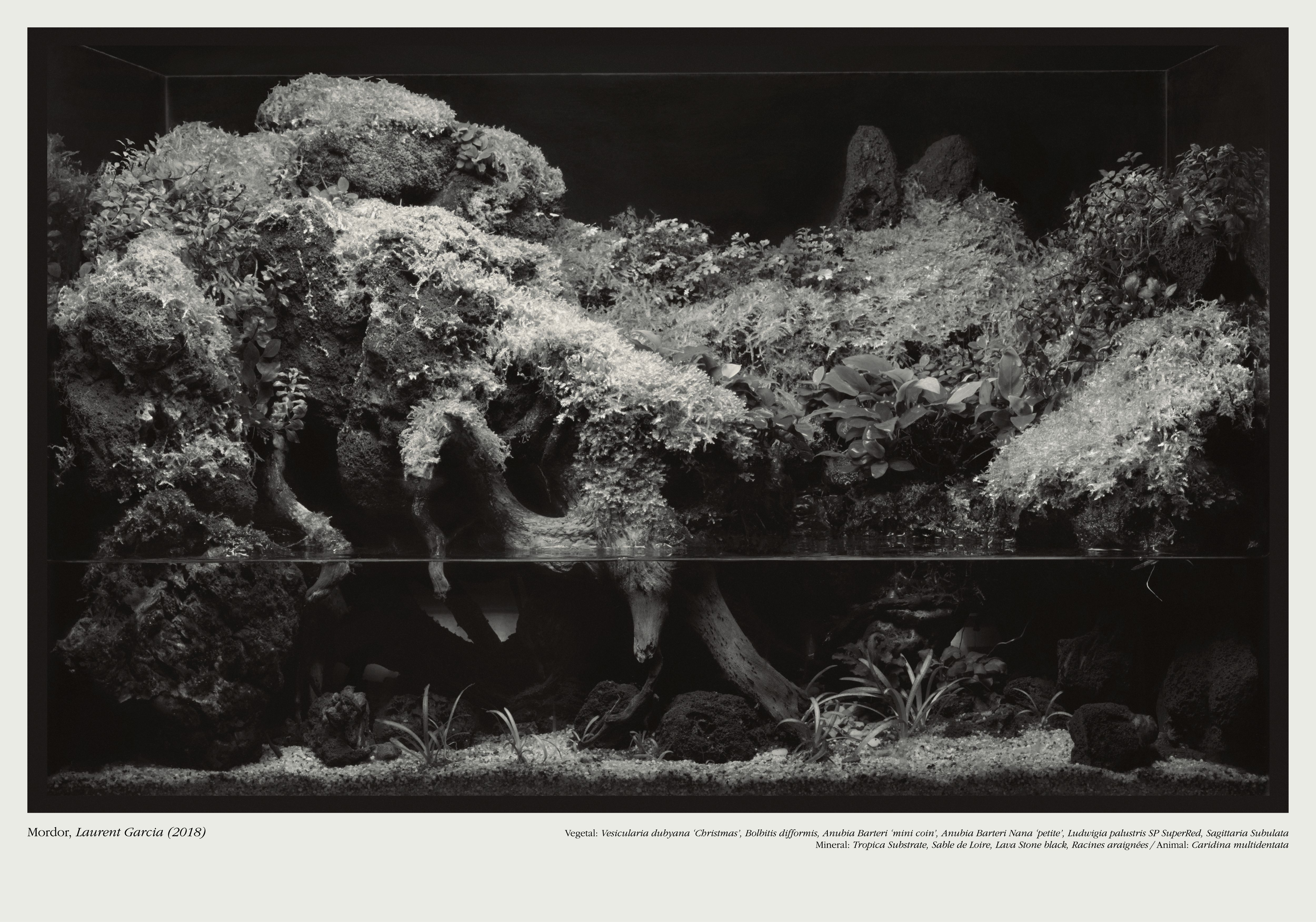 Framed Landscapes - Romain Roucoules