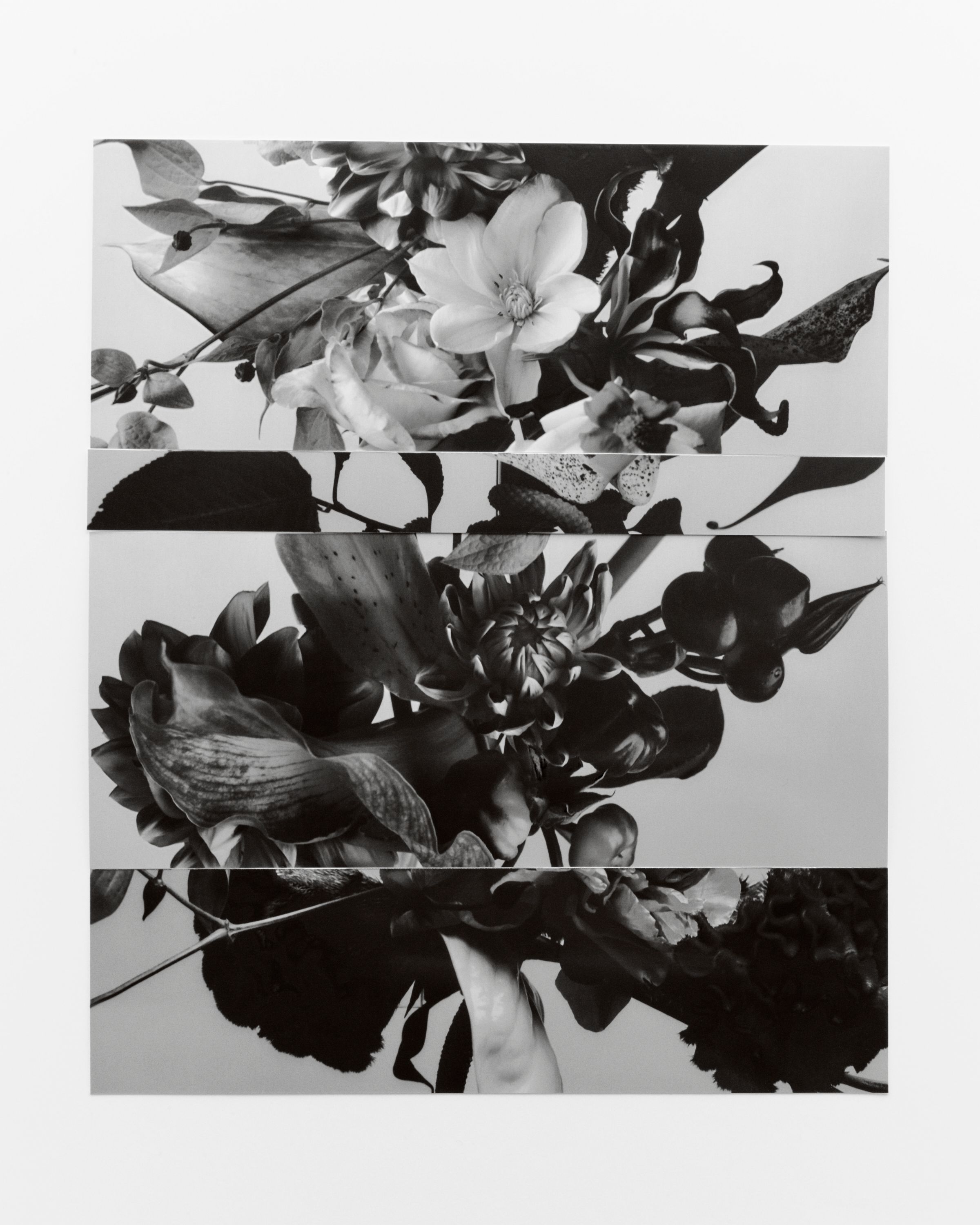 Edge & Ledge - Romain Roucoules