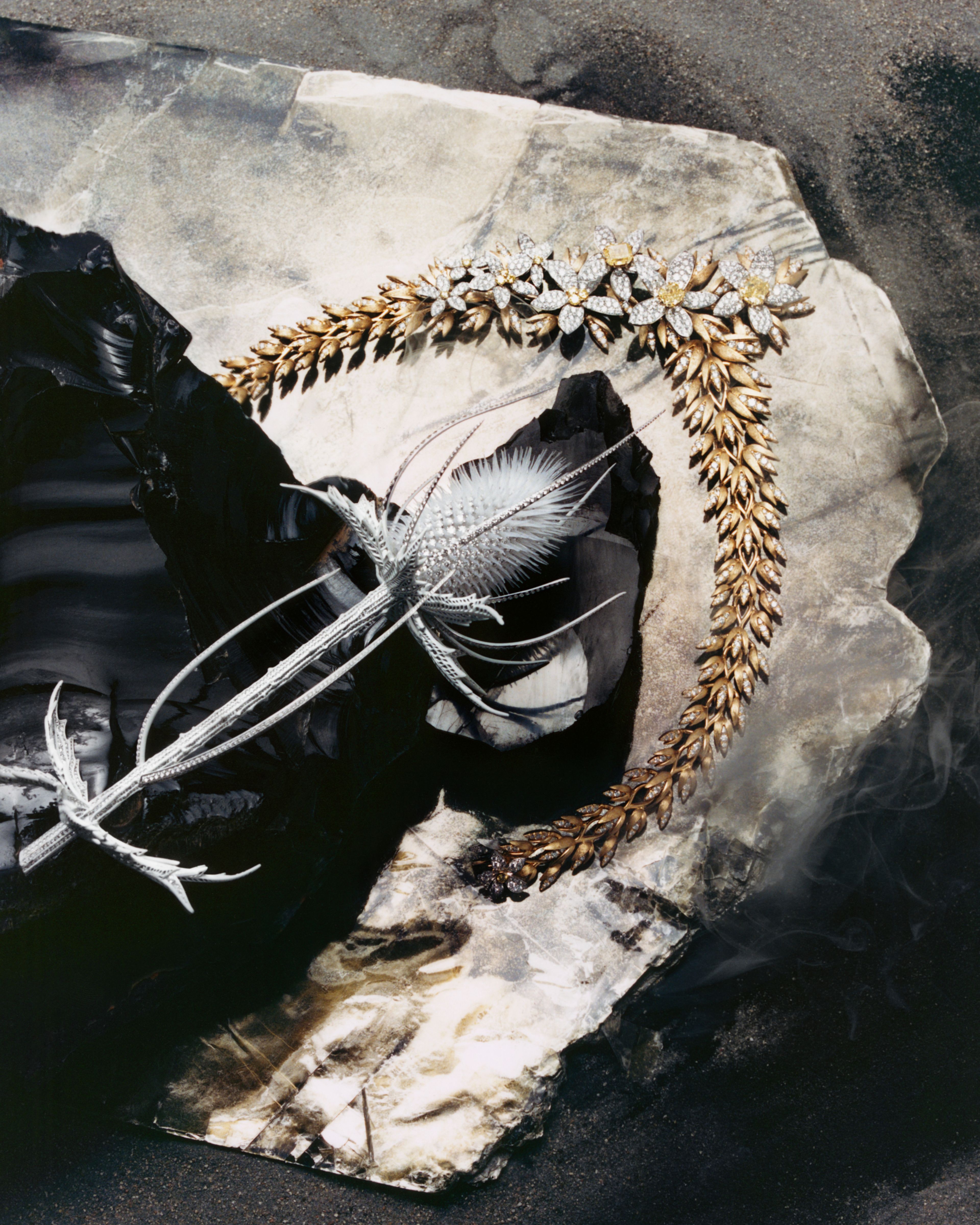 The Times Luxx, Following the Kraffts