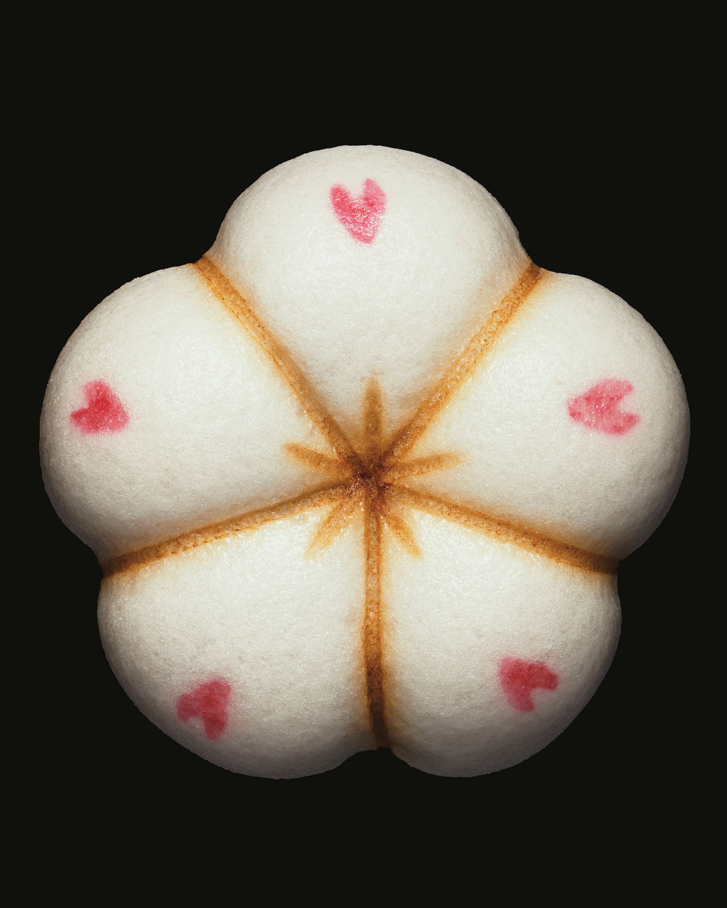 Namagashi, Delights from Toraya - Romain Roucoules