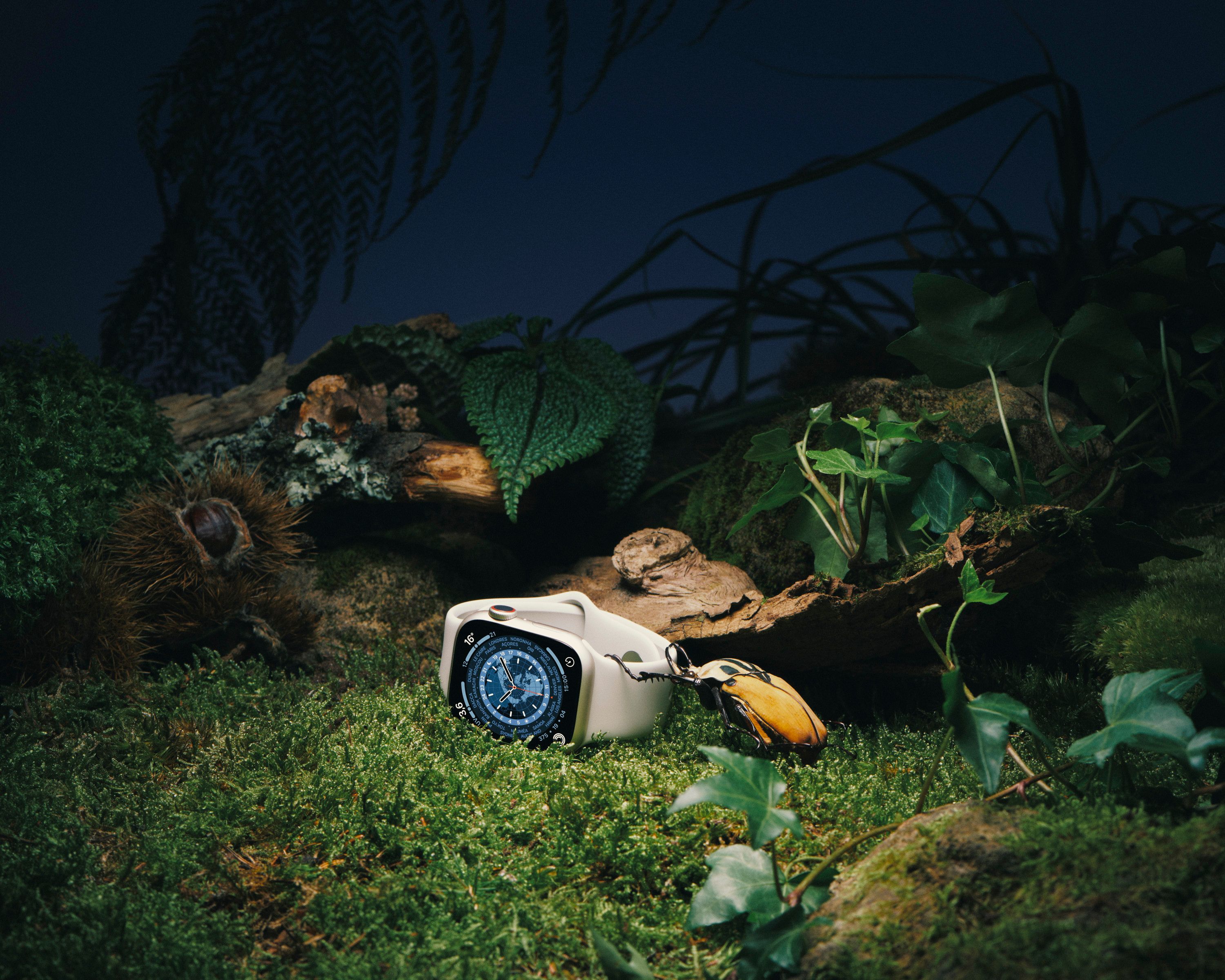 Novembre Magazine, A Bug's Life - Romain Roucoules