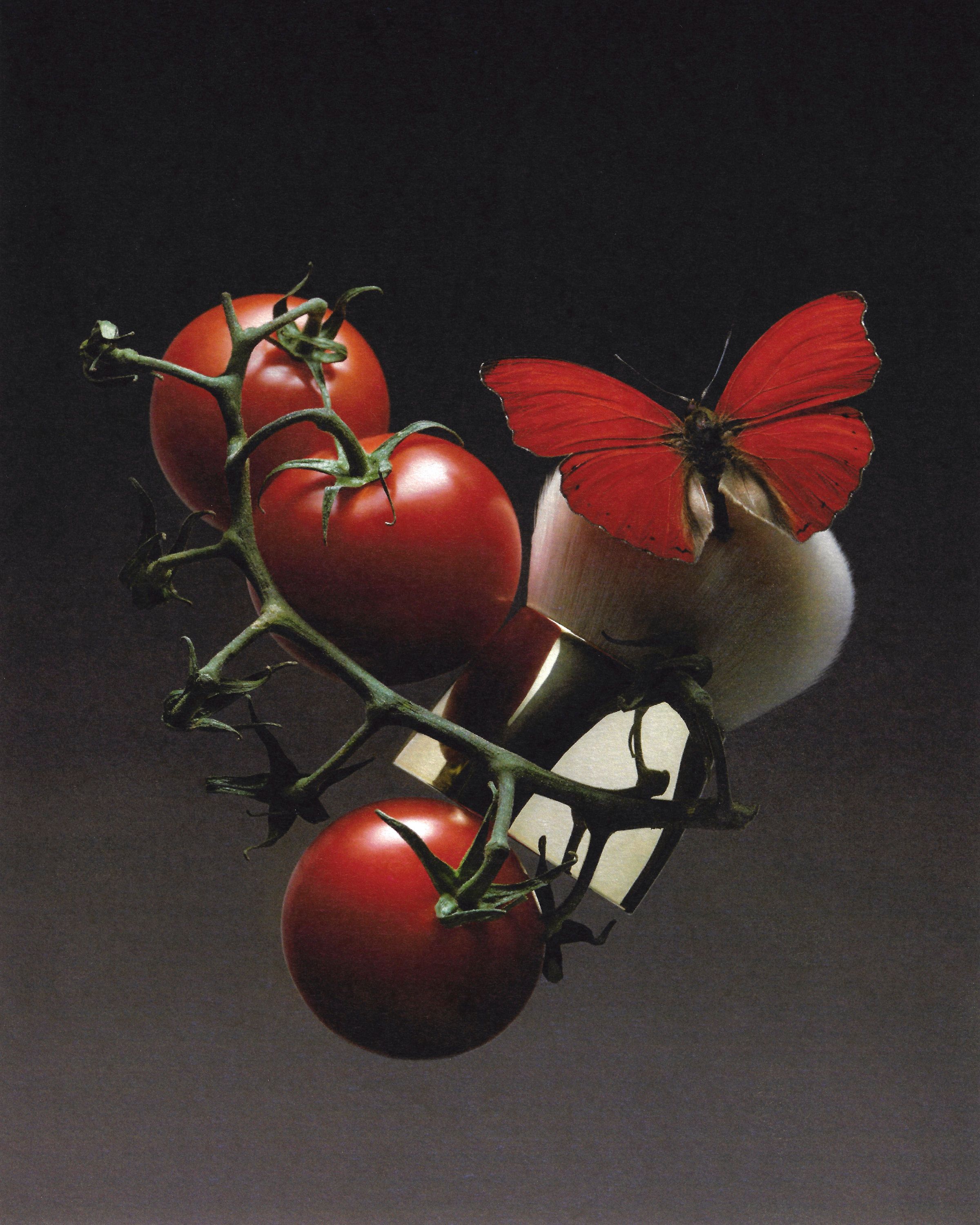 Mayday Magazine, Fictions - Romain Roucoules