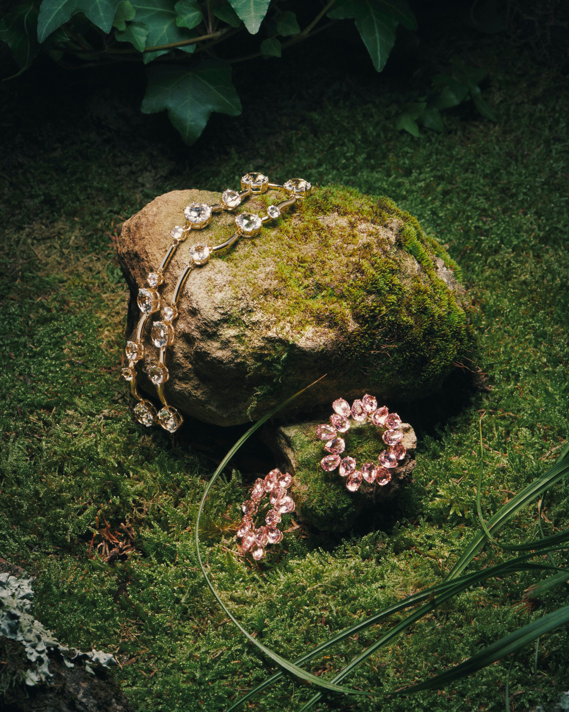 Novembre Magazine, A Bug's Life - Romain Roucoules