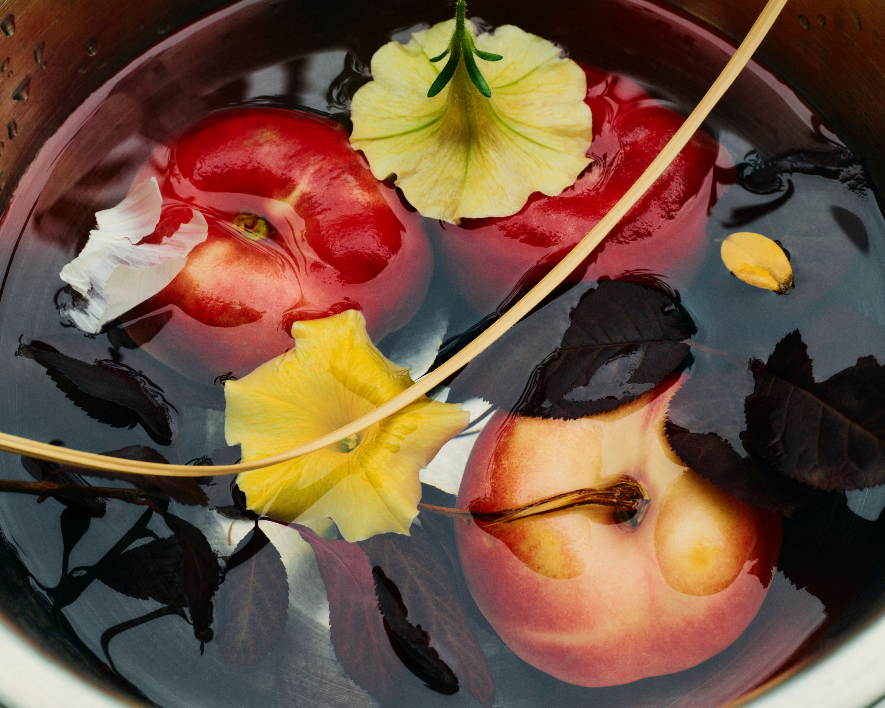 Revue Magazine, Ponds - Romain Roucoules