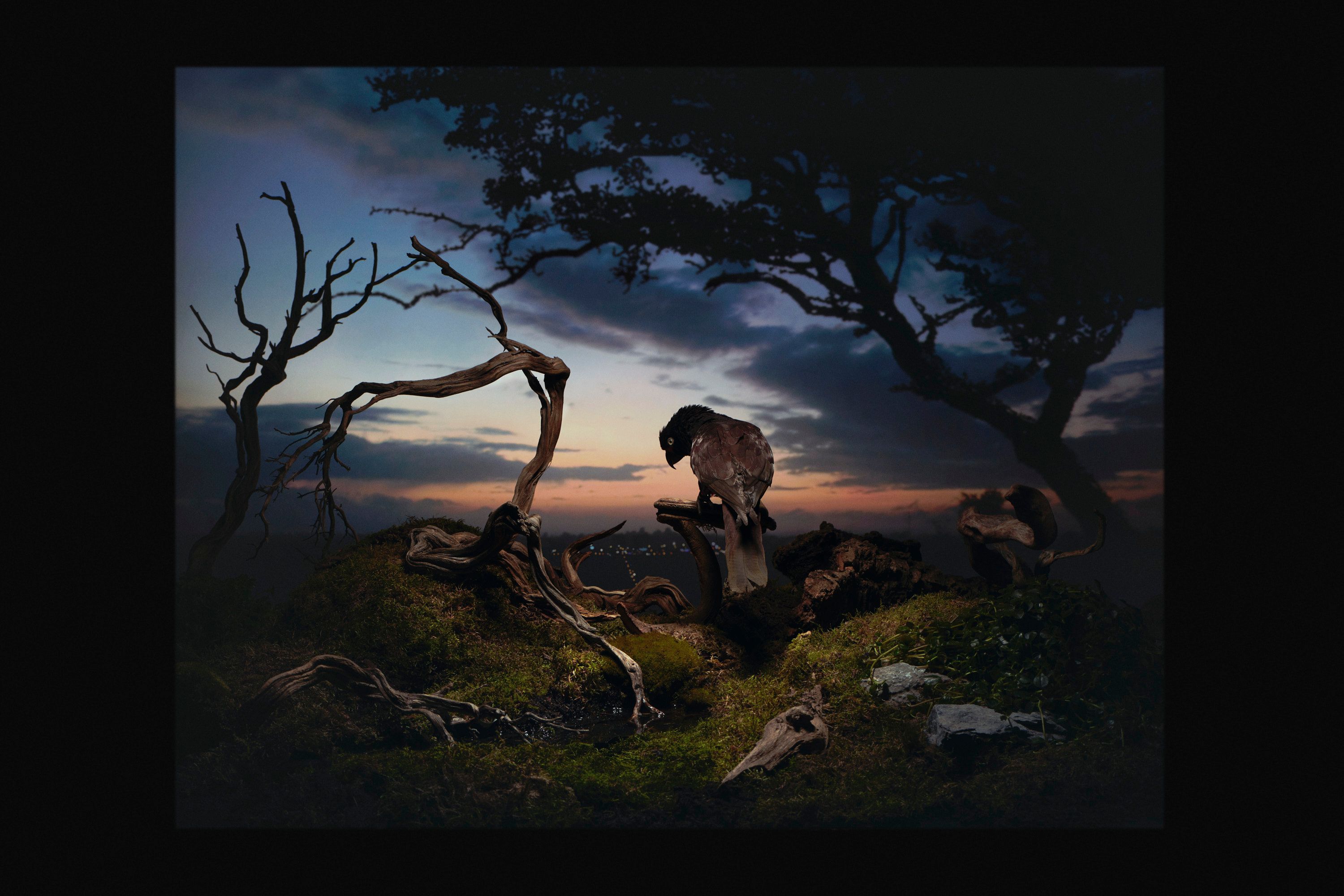 Framed Landscapes - Romain Roucoules