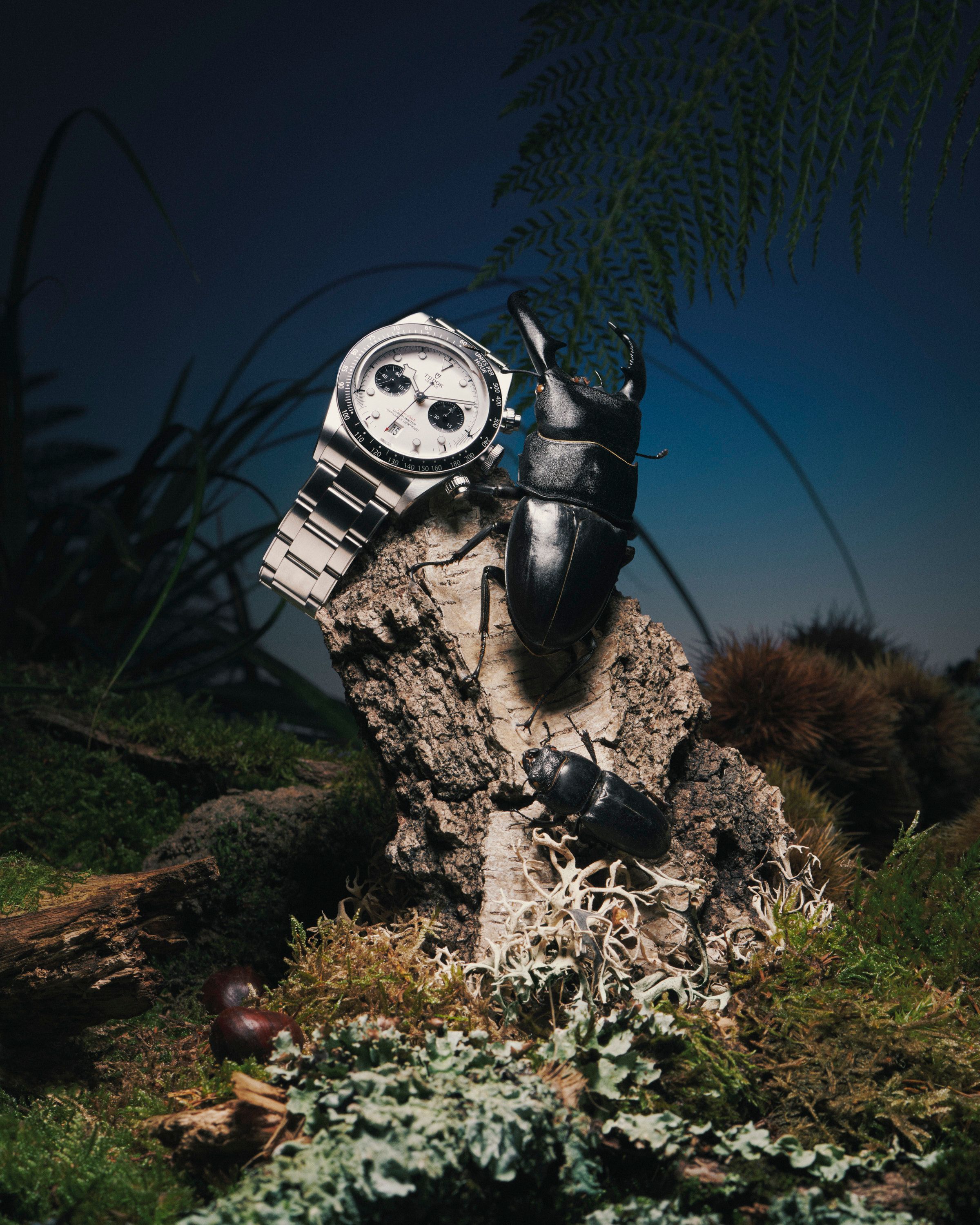 Novembre Magazine, A Bug's Life - Romain Roucoules