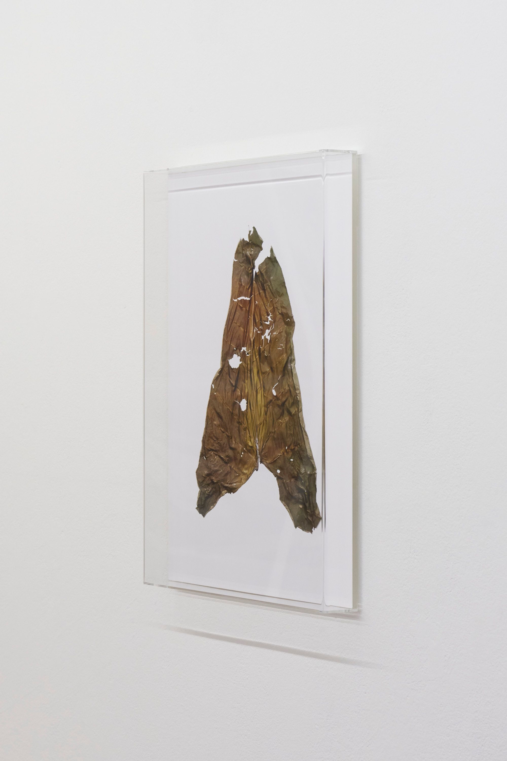 Global Solutions, ÉCAL diploma - Romain Roucoules