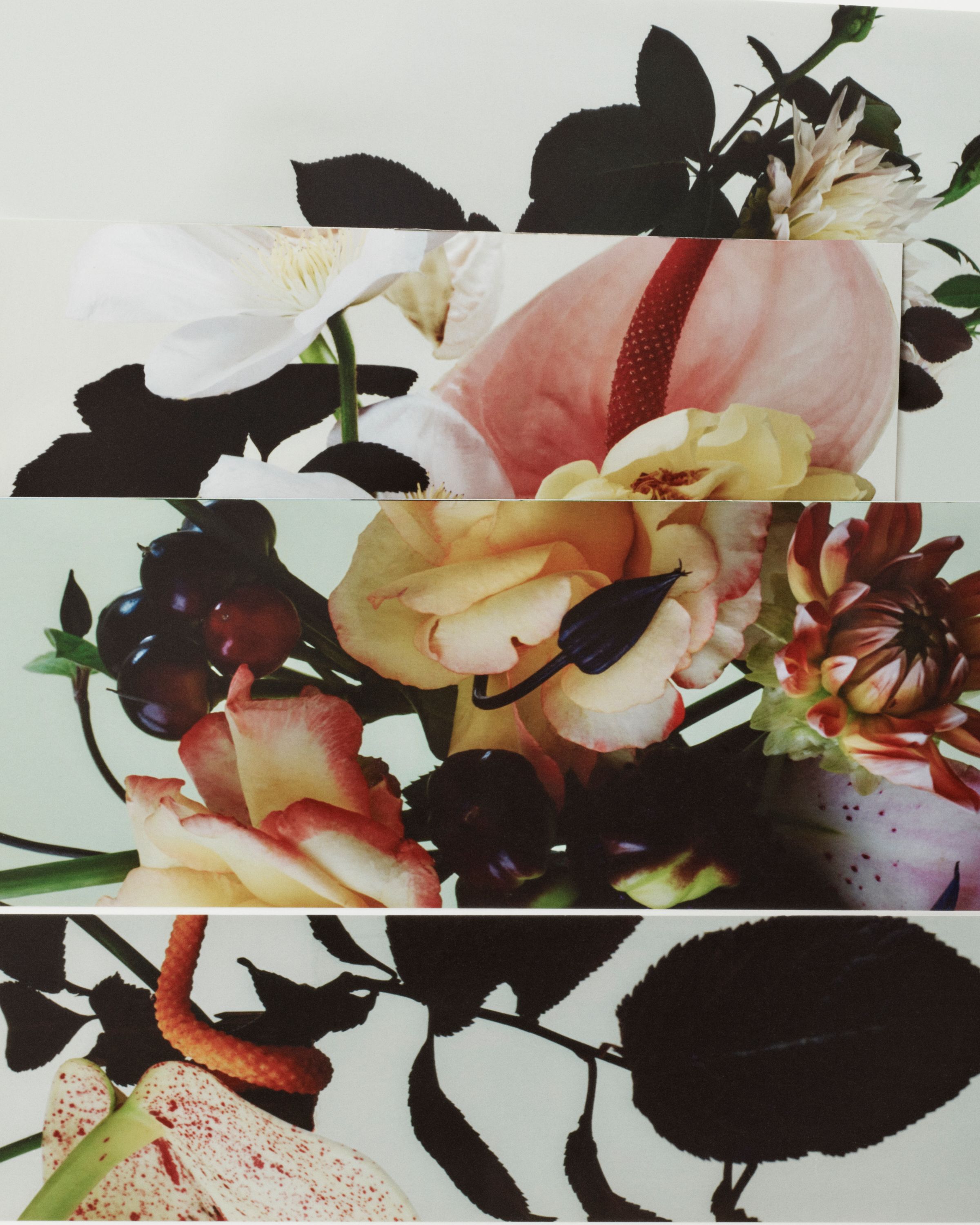 Edge & Ledge - Romain Roucoules