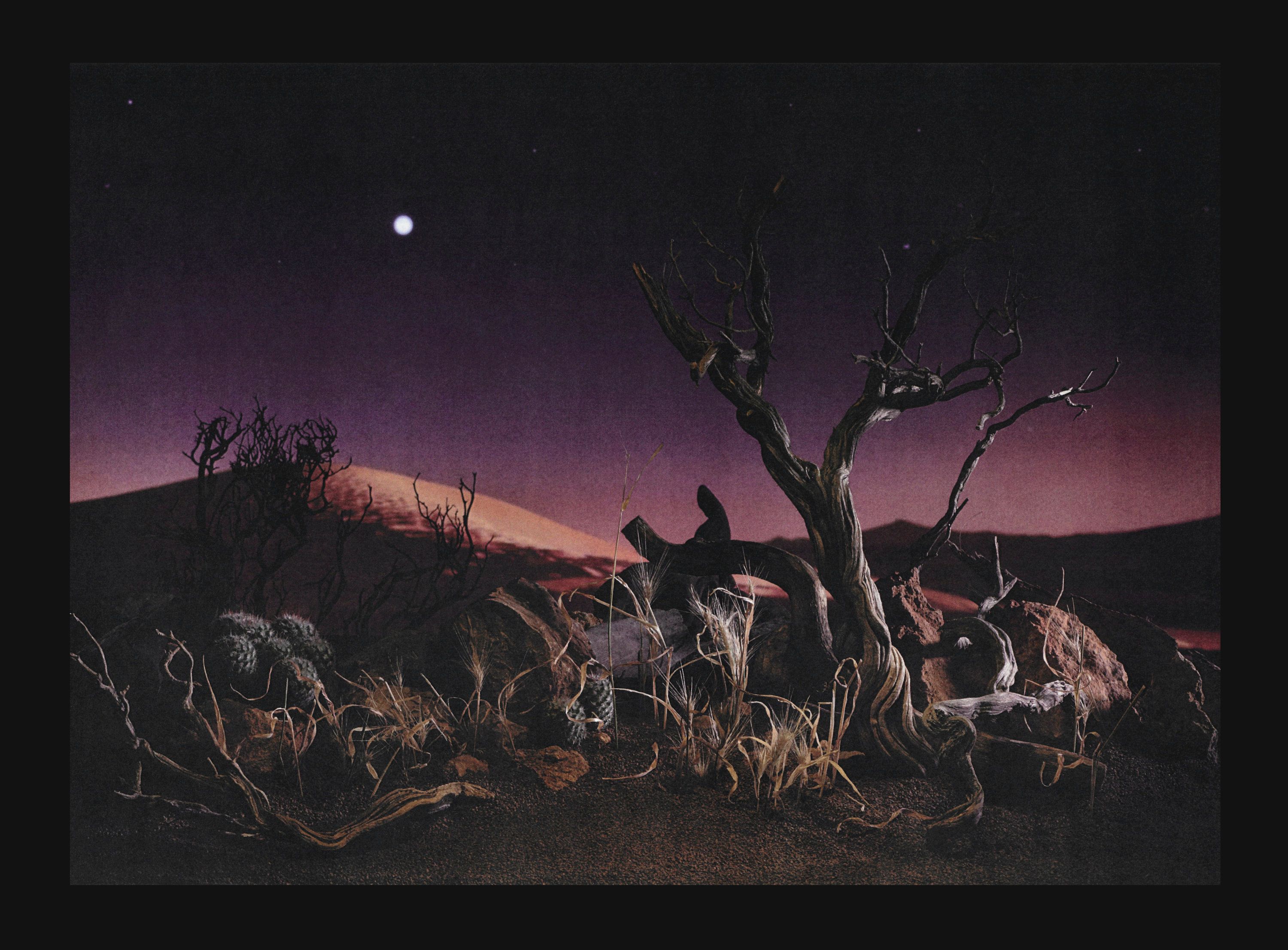 Framed Landscapes - Romain Roucoules