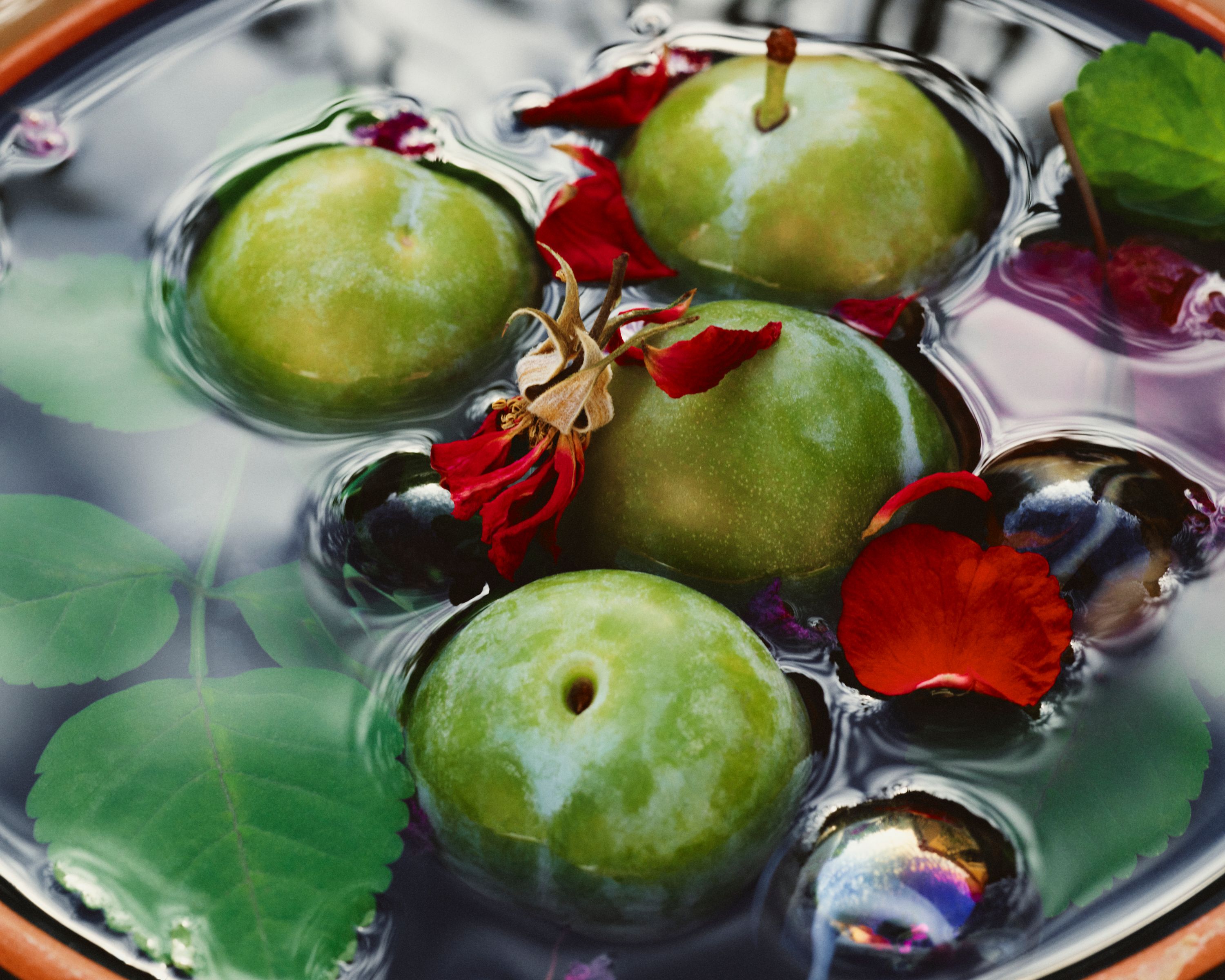 Revue Magazine, Ponds - Romain Roucoules