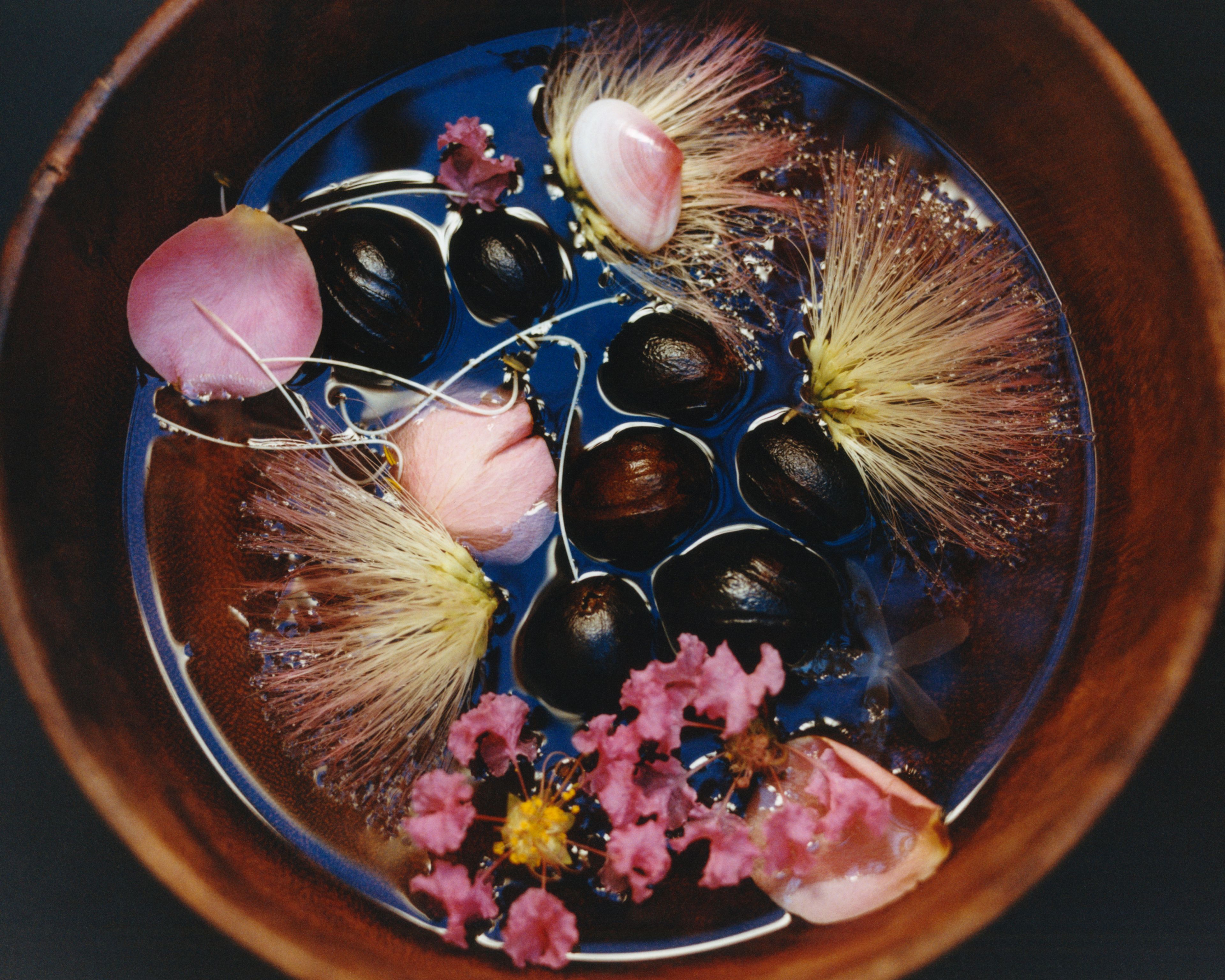 Revue Magazine, Ponds