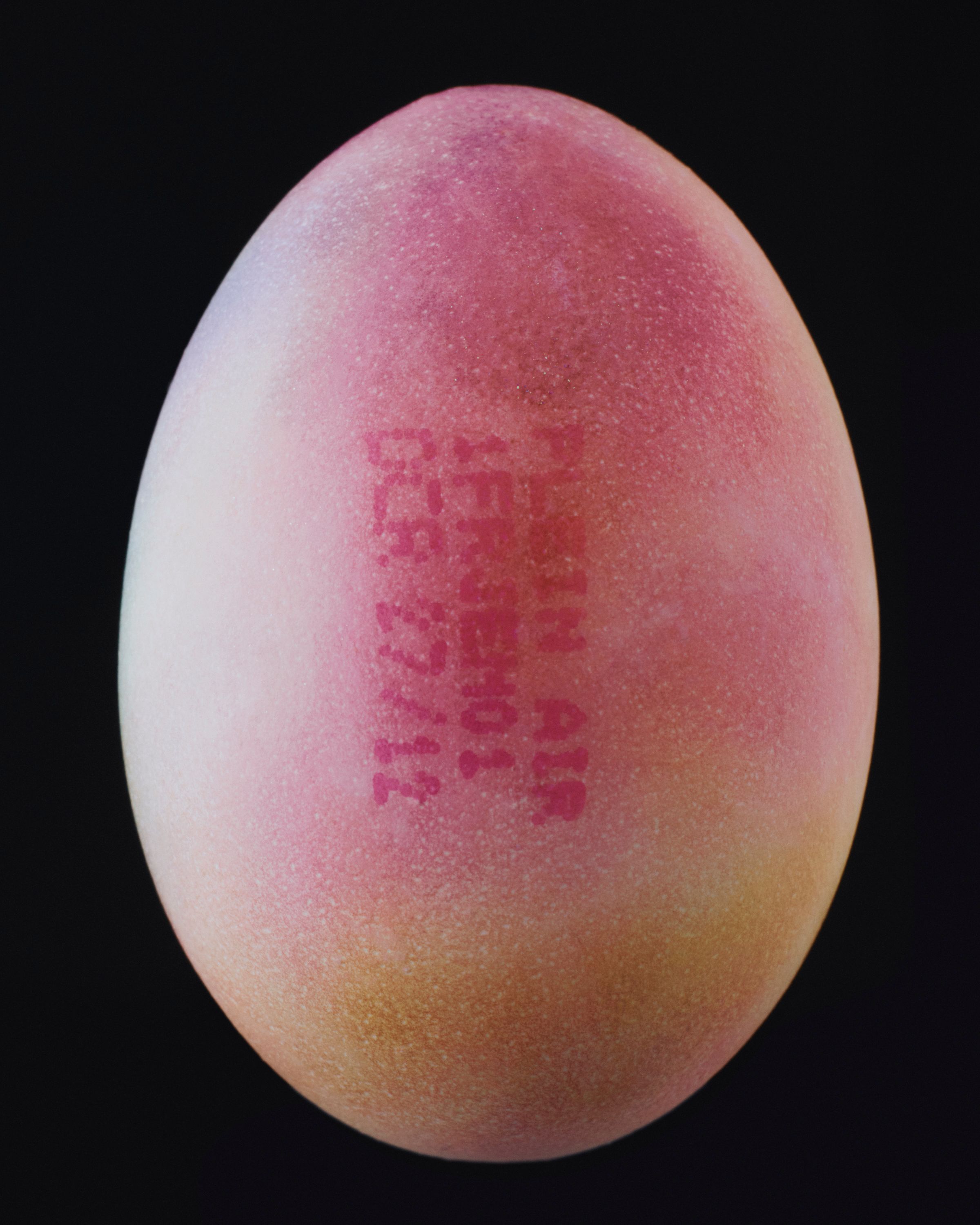 Egg Magnificentia, Danielle Karlikoff Jewellery - Romain Roucoules