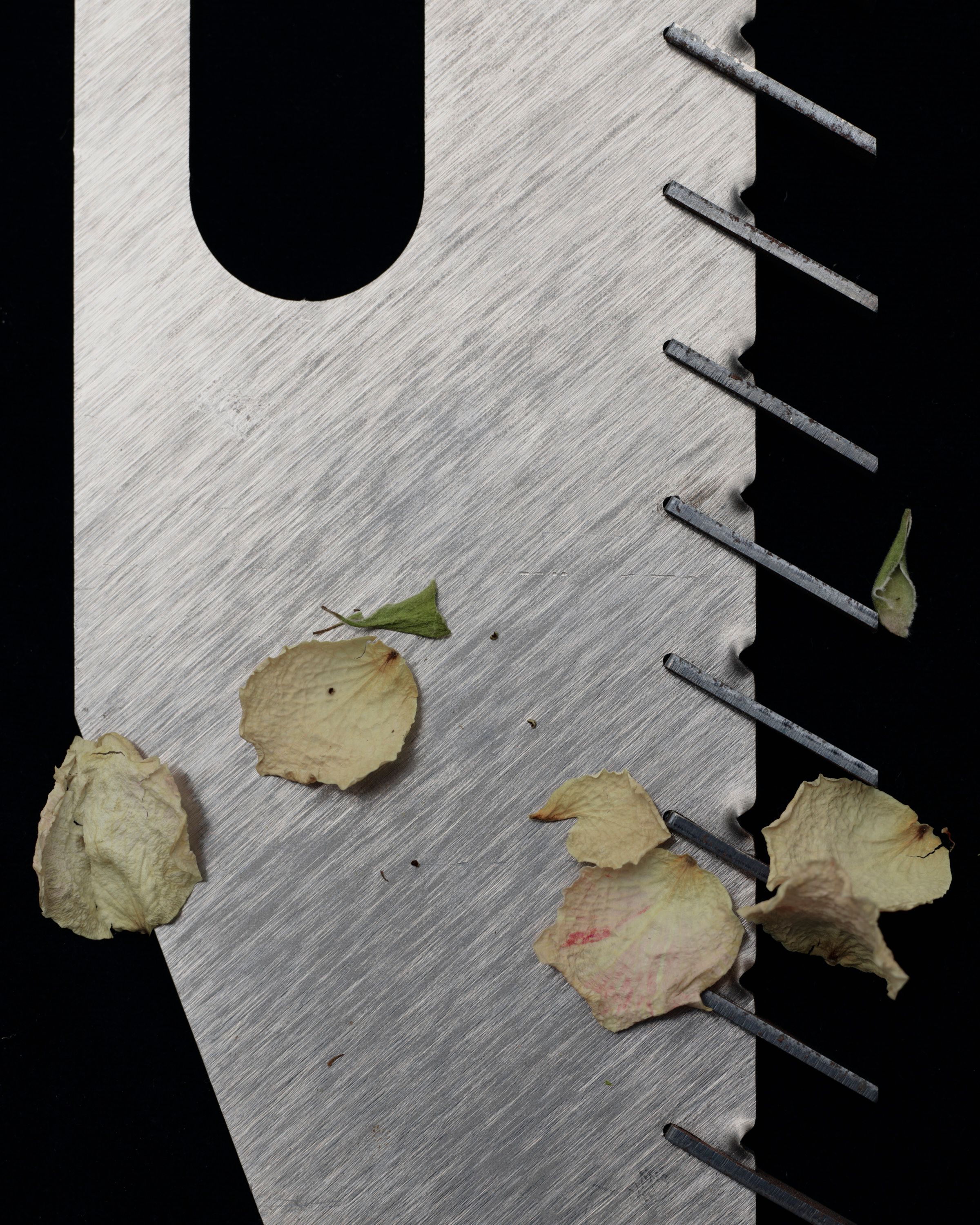 Tools - Romain Roucoules