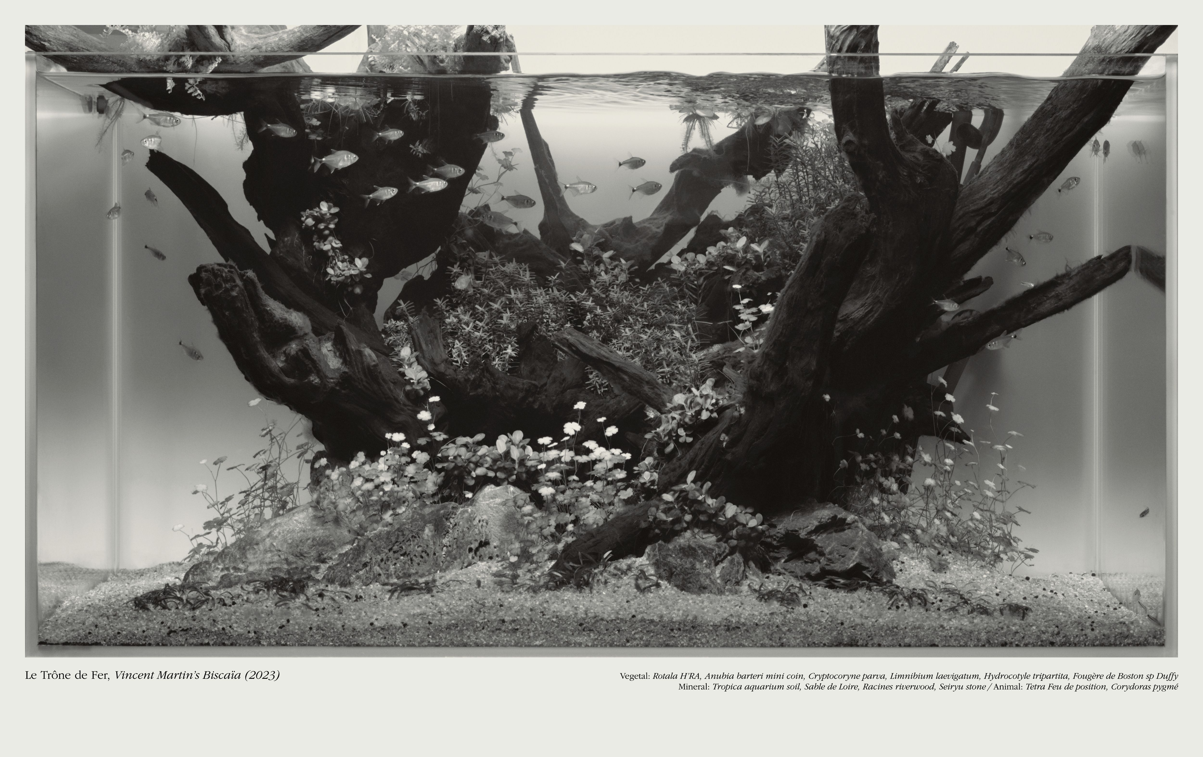 Framed Landscapes - Romain Roucoules