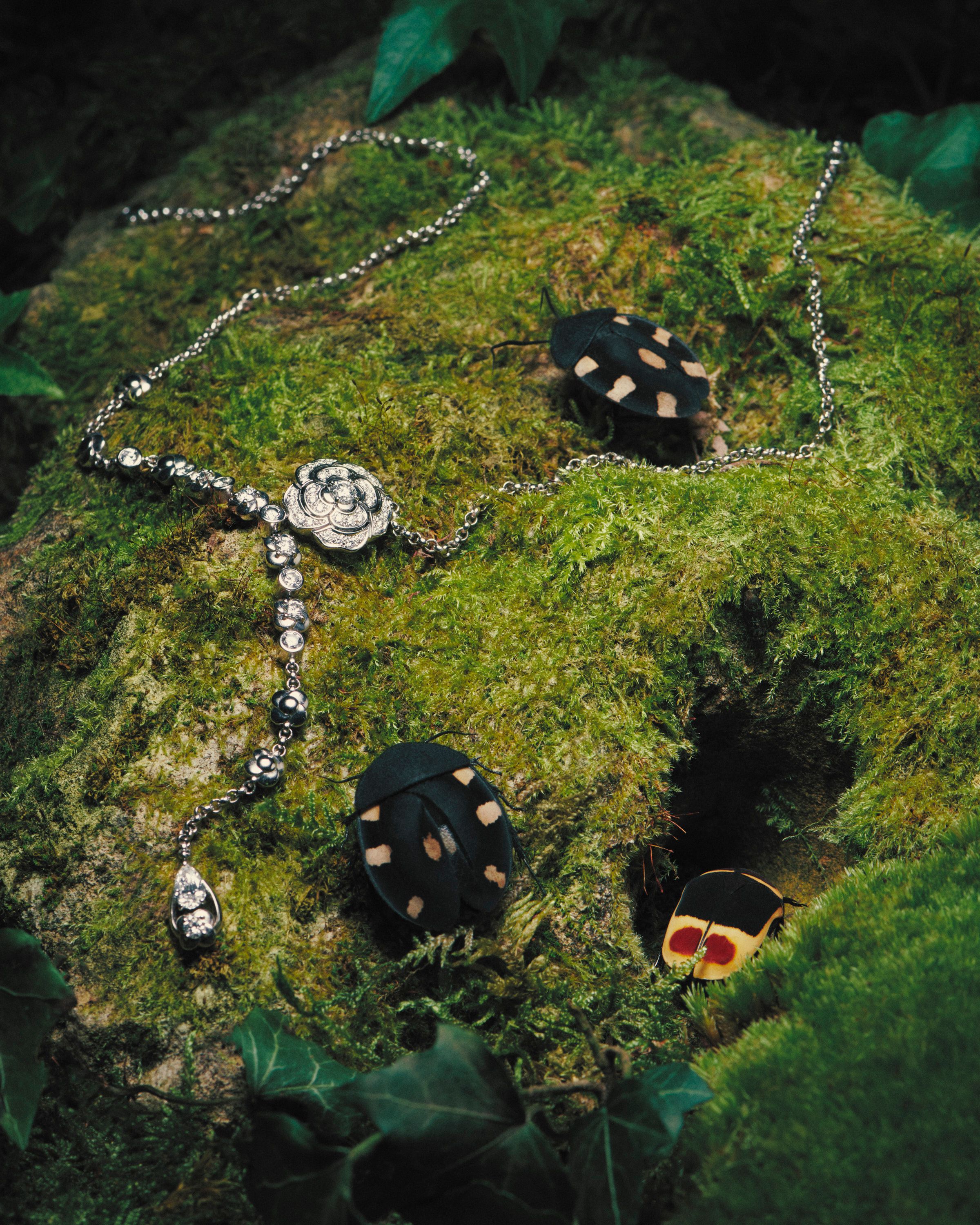 Novembre Magazine, A Bug's Life - Romain Roucoules