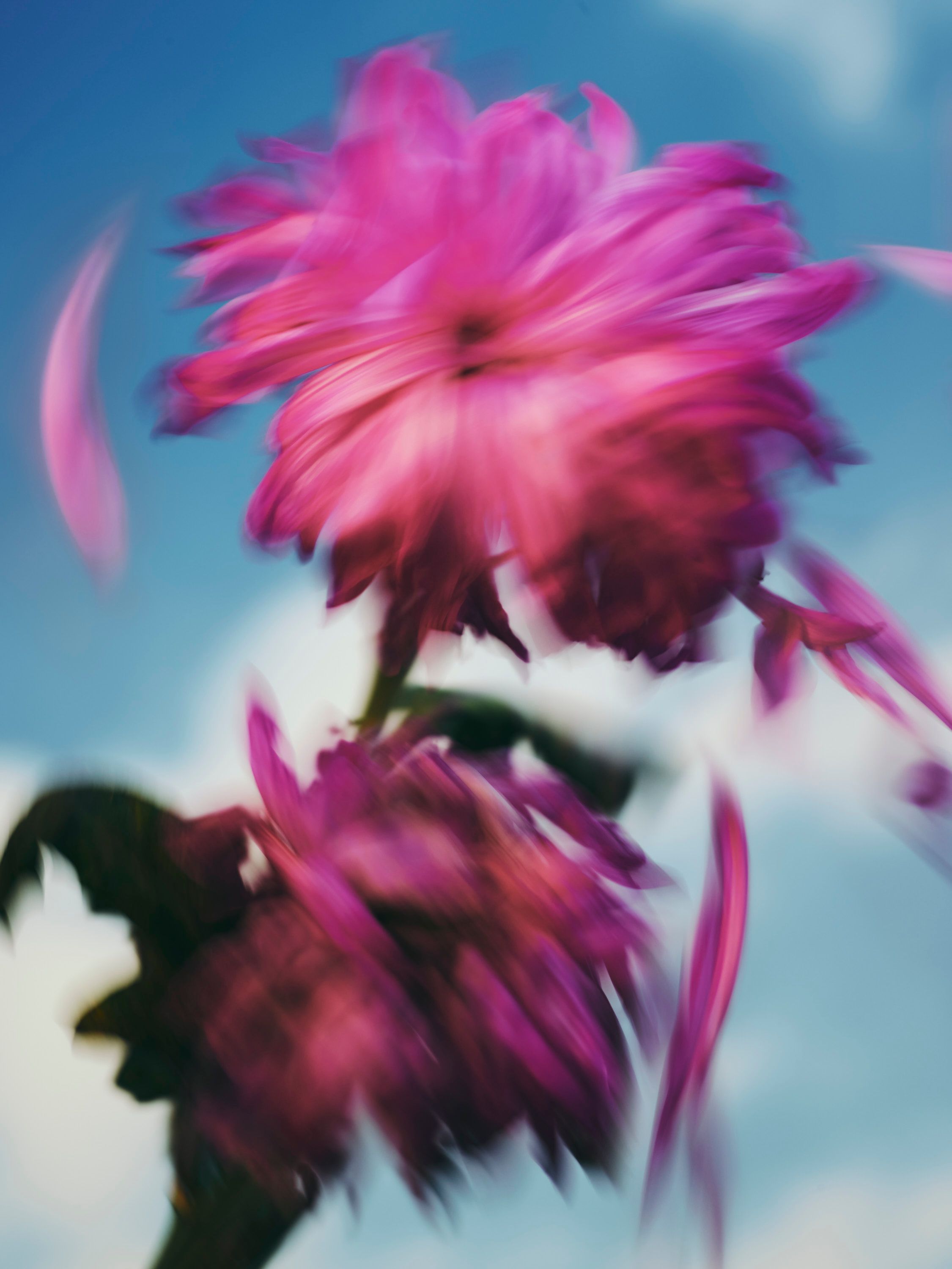 Revue Magazine, Sirocco - Romain Roucoules