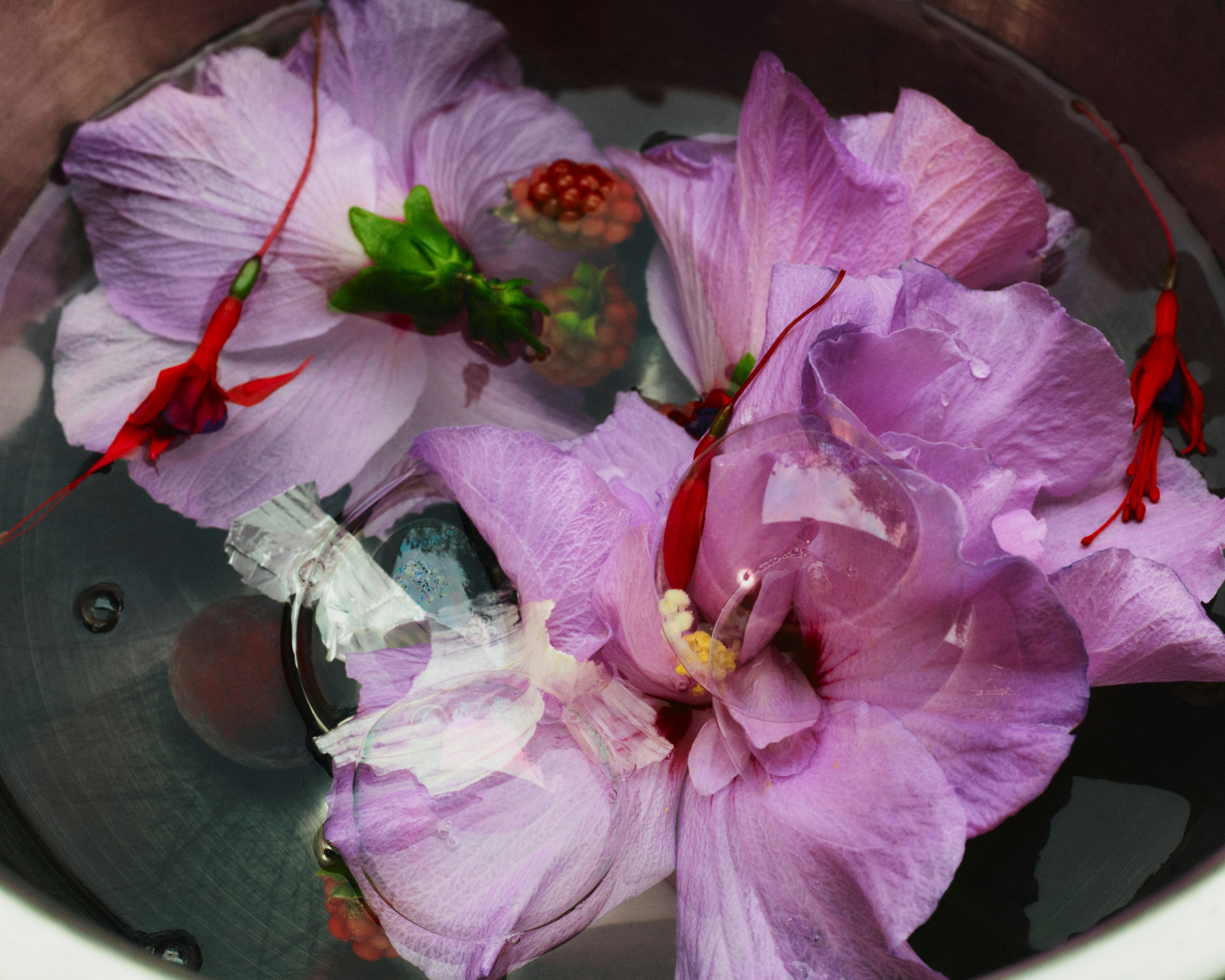 Revue Magazine, Ponds