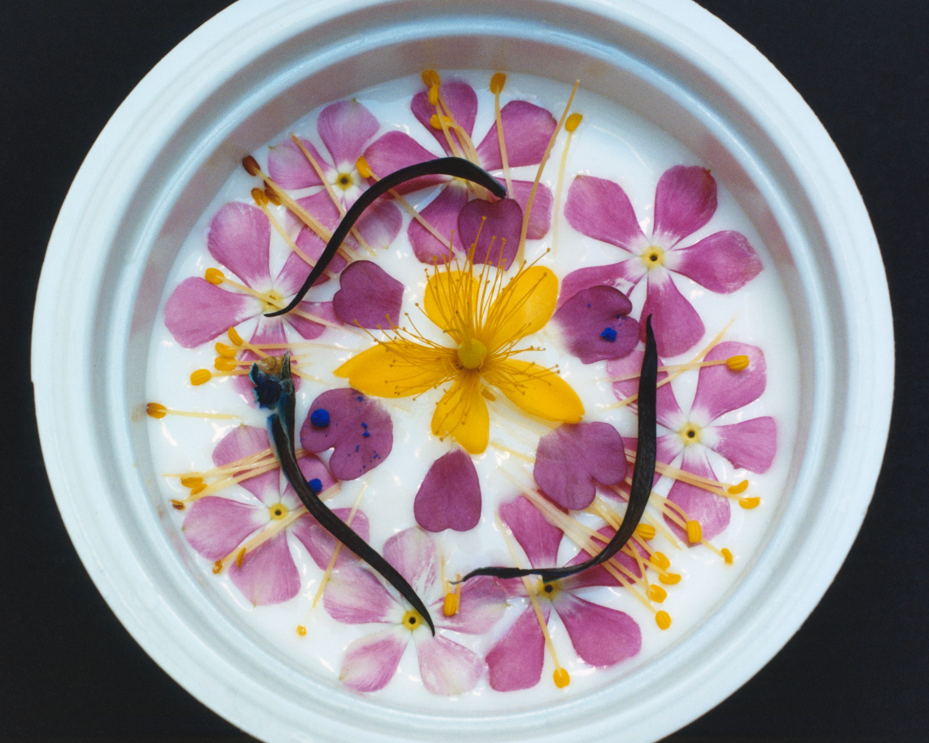 Revue Magazine, Ponds - Romain Roucoules