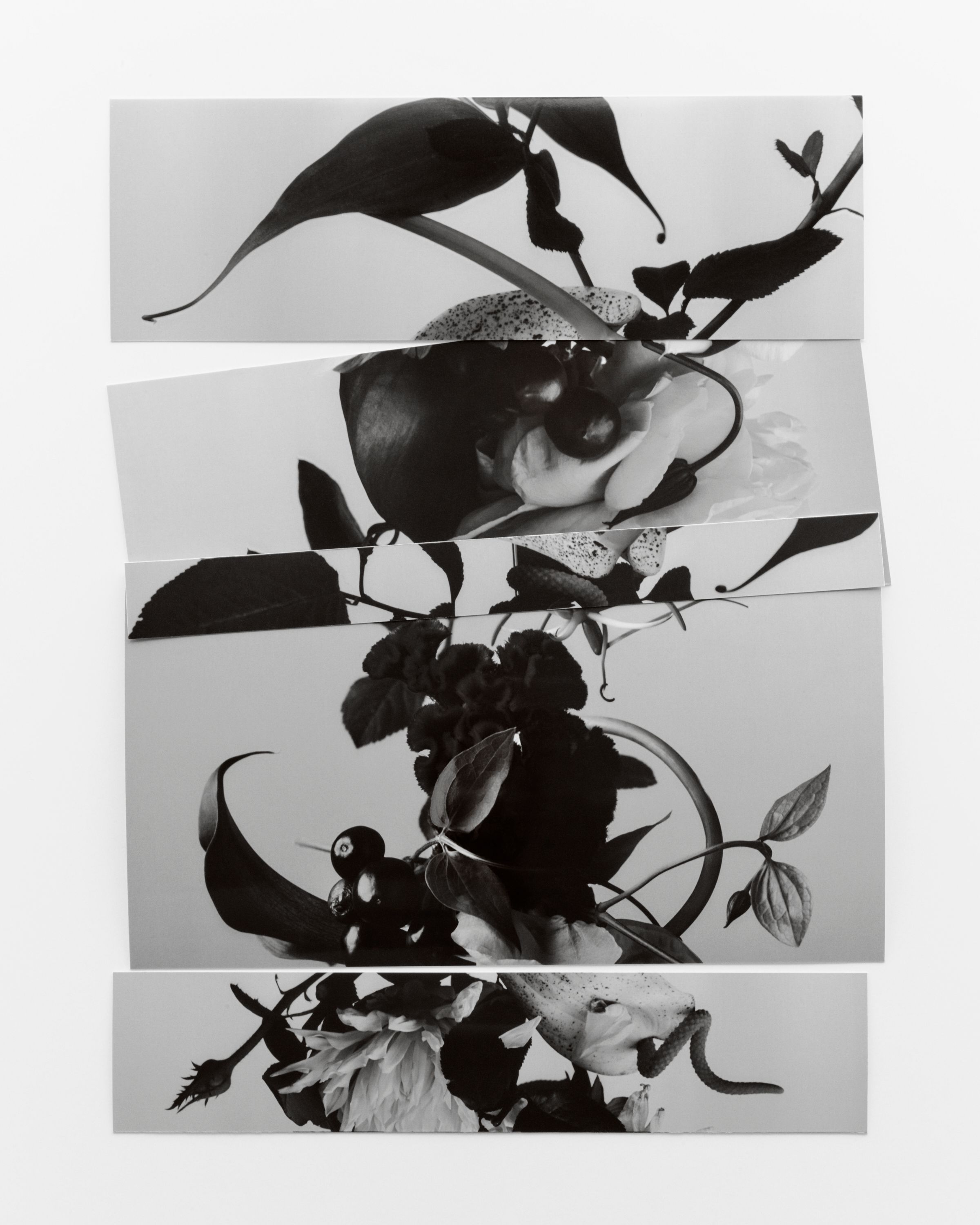 Edge & Ledge - Romain Roucoules