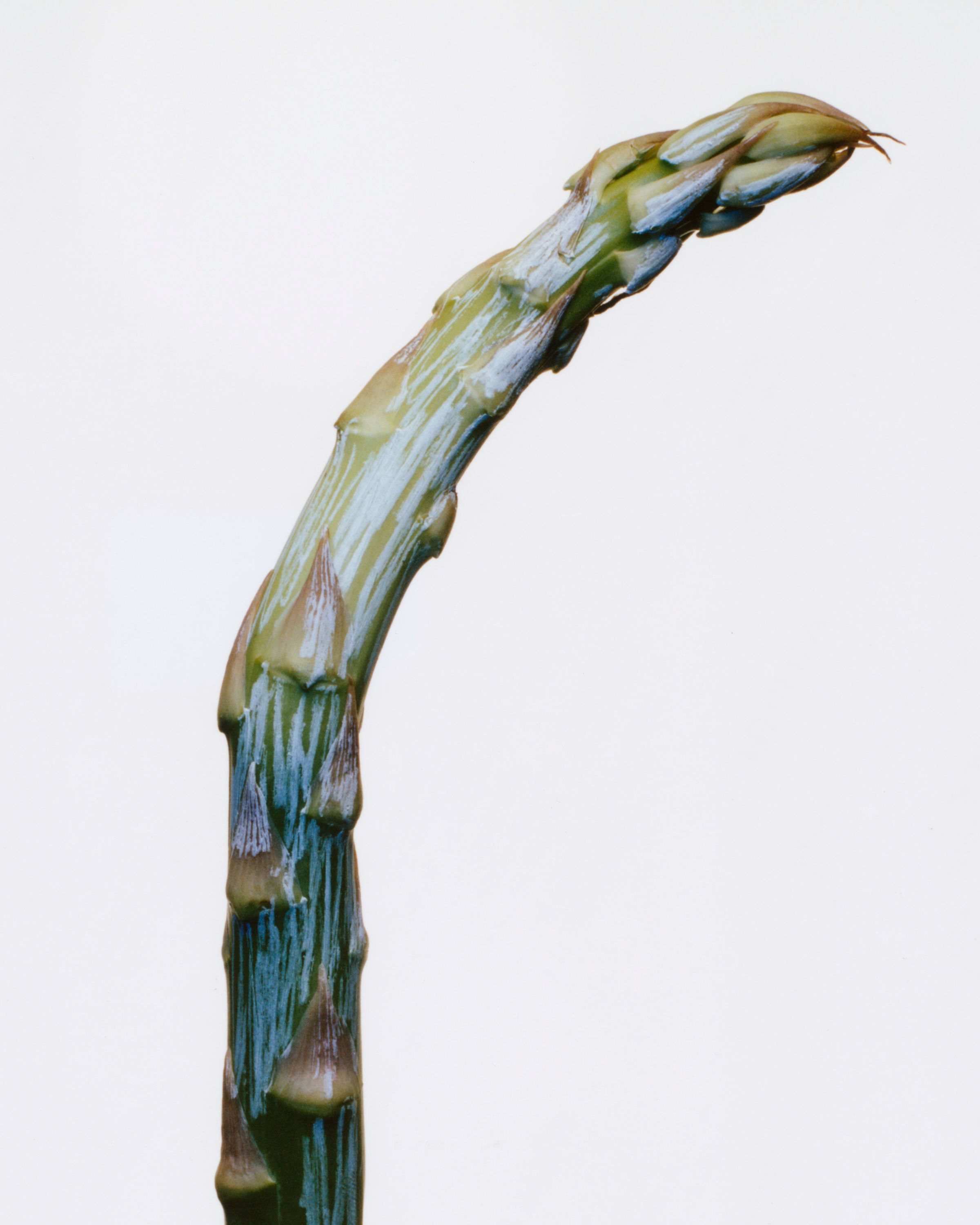 A Child's play - Romain Roucoules