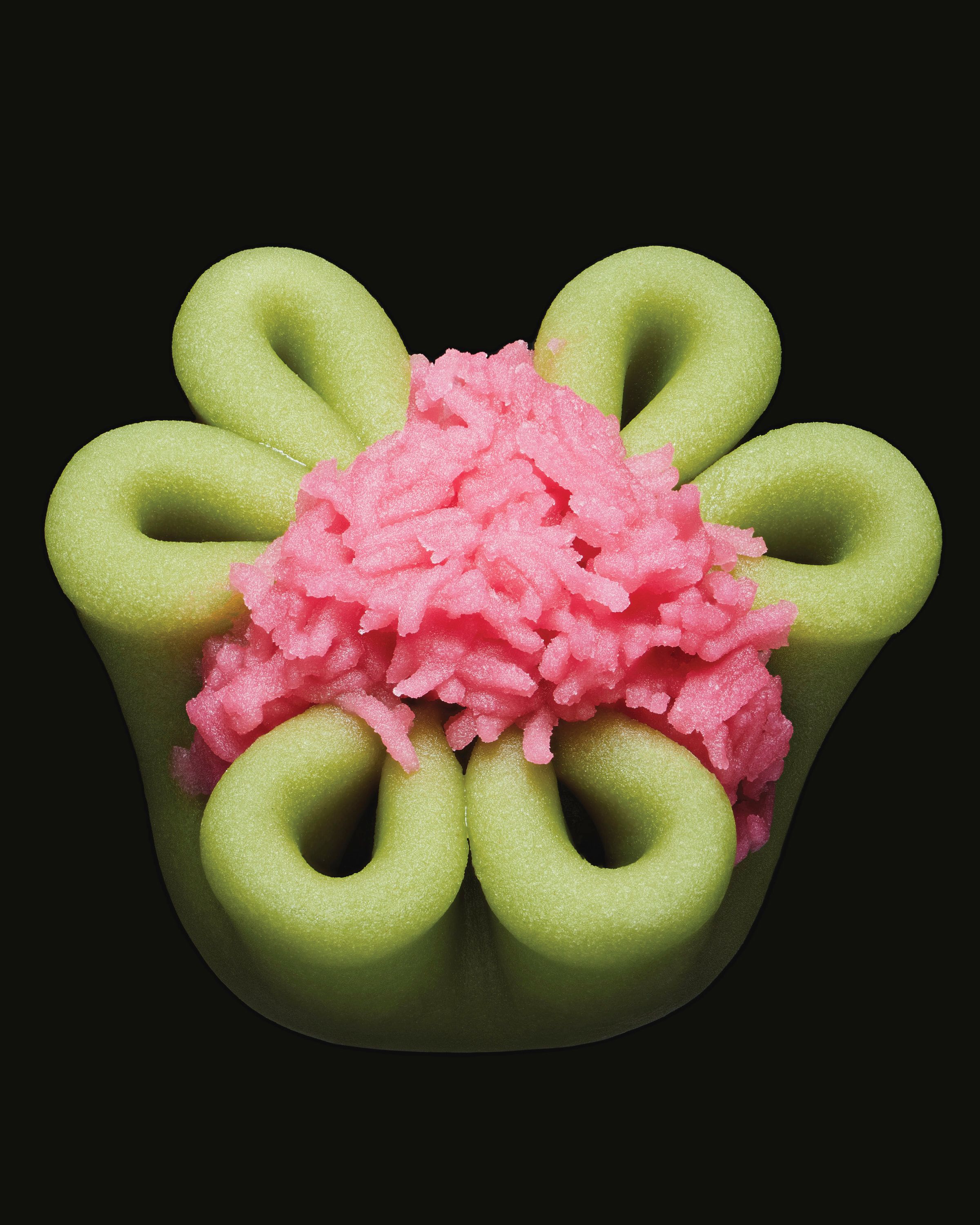 Namagashi, Delights from Toraya - Romain Roucoules