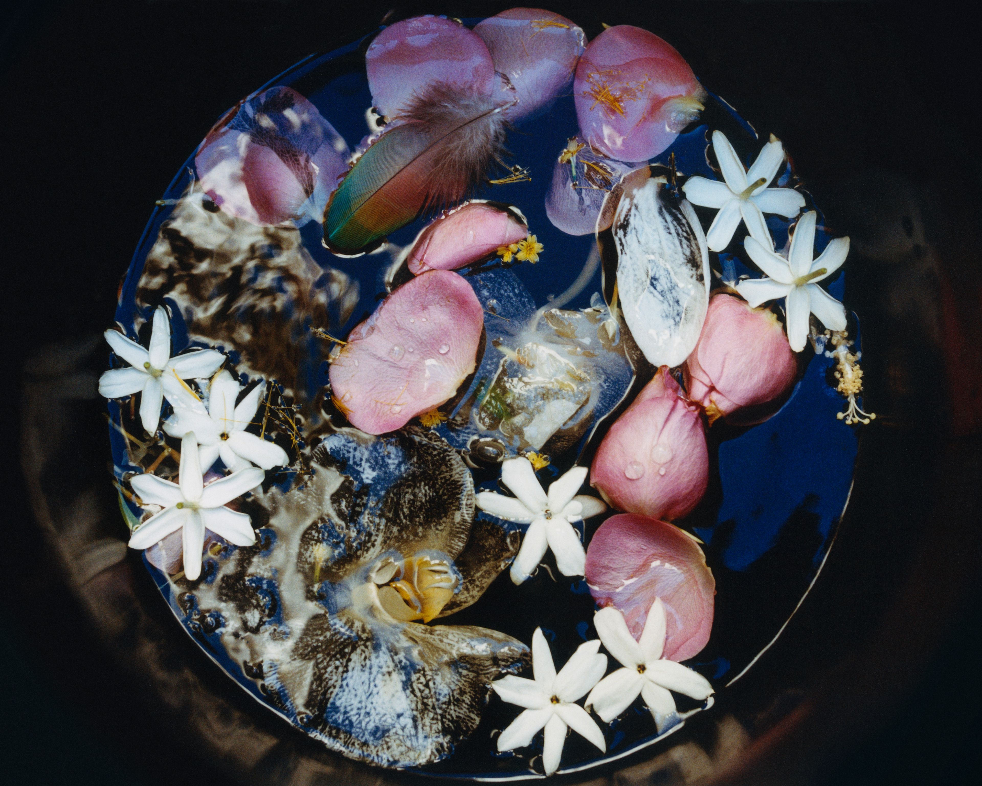 Revue Magazine, Ponds