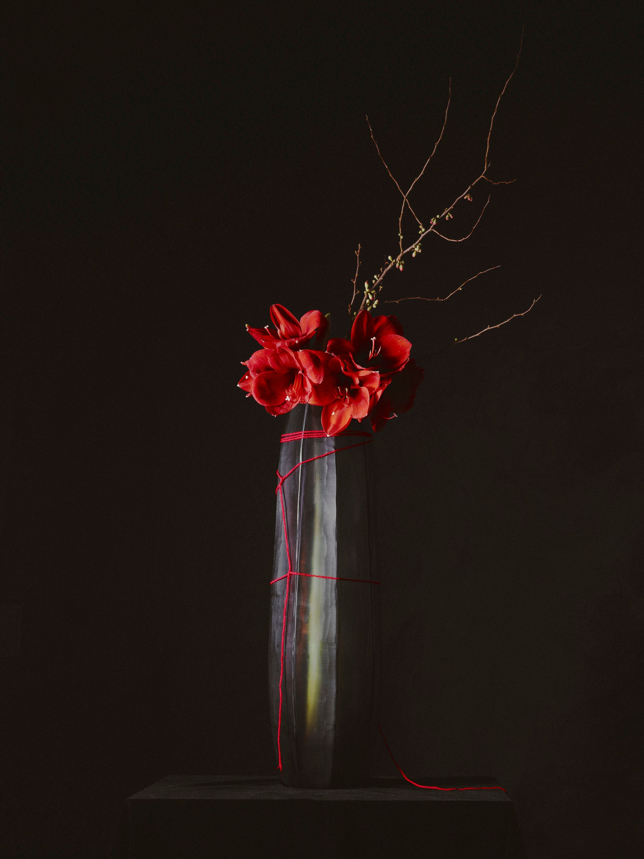 Ojii, Ojii Perronet - Romain Roucoules