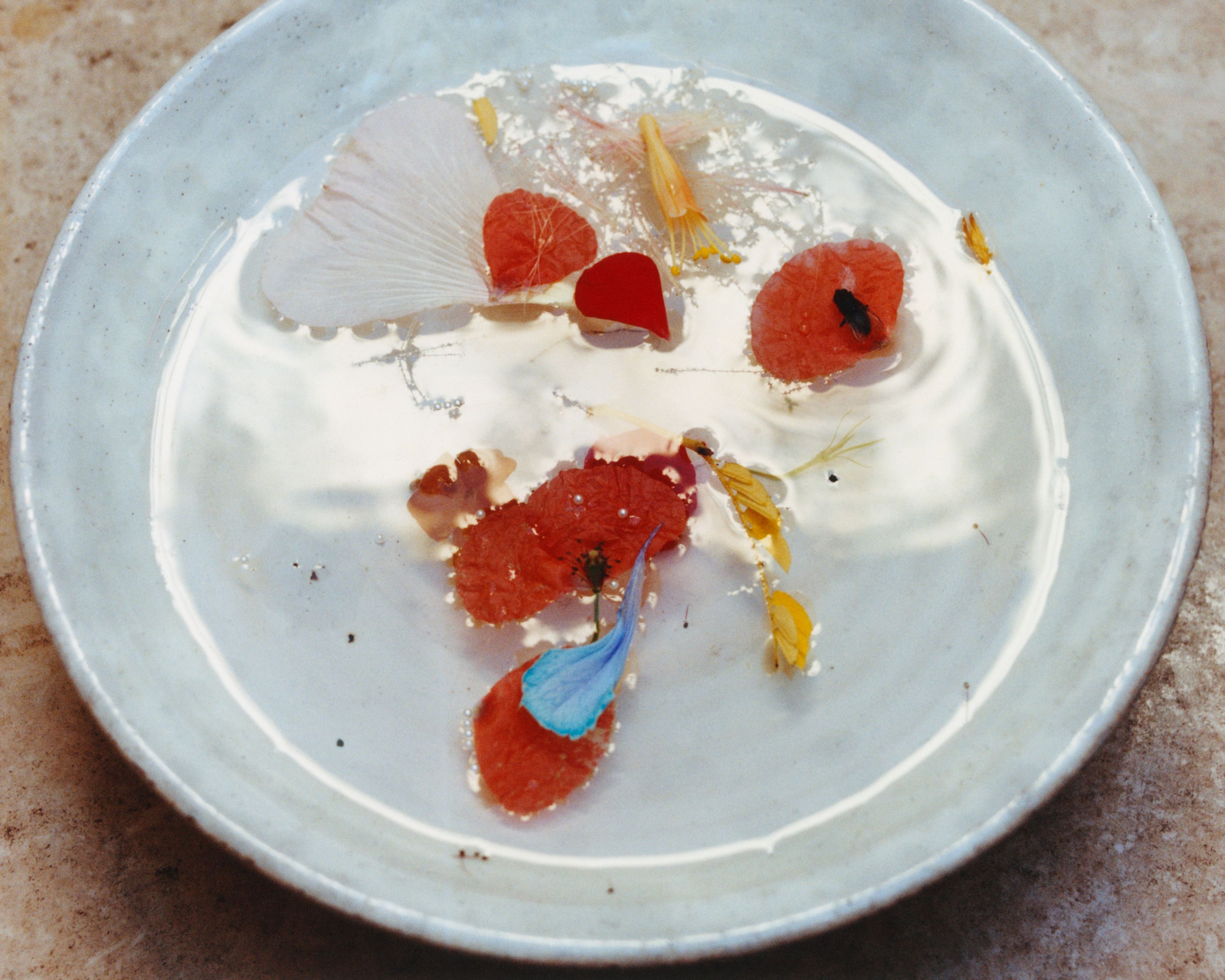 Revue Magazine, Ponds - Romain Roucoules