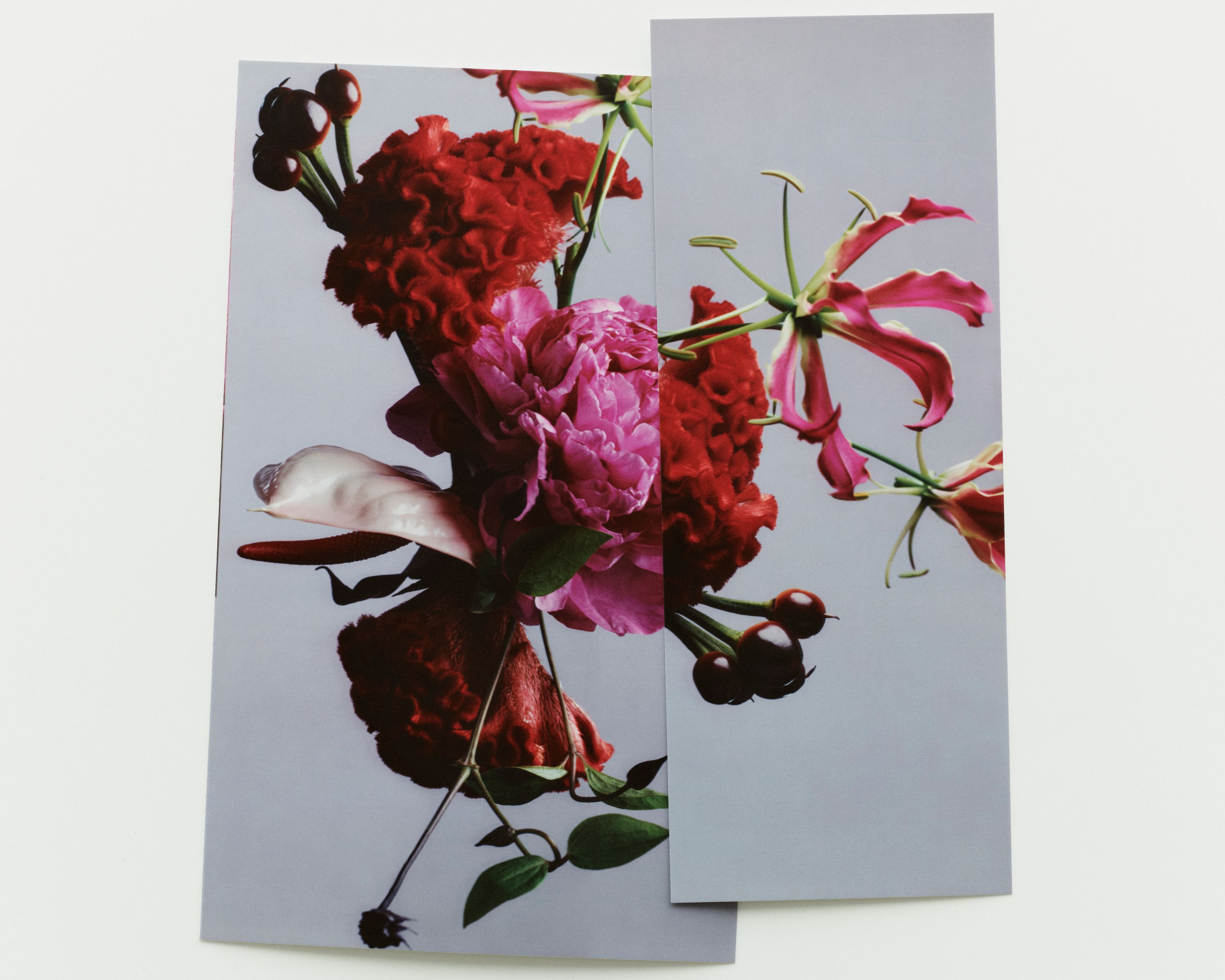 Edge & Ledge - Romain Roucoules