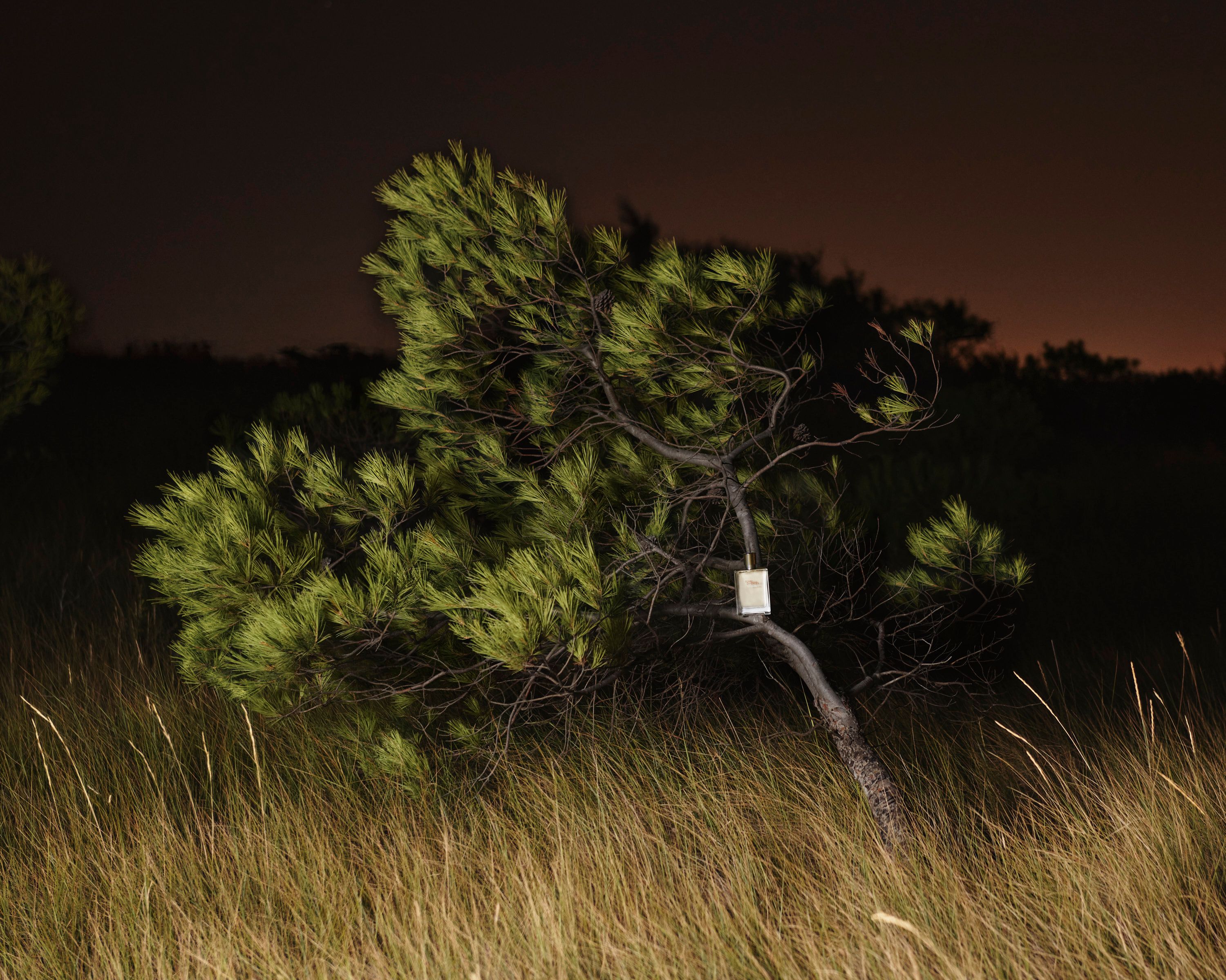 Revue Magazine, Odorama - Romain Roucoules