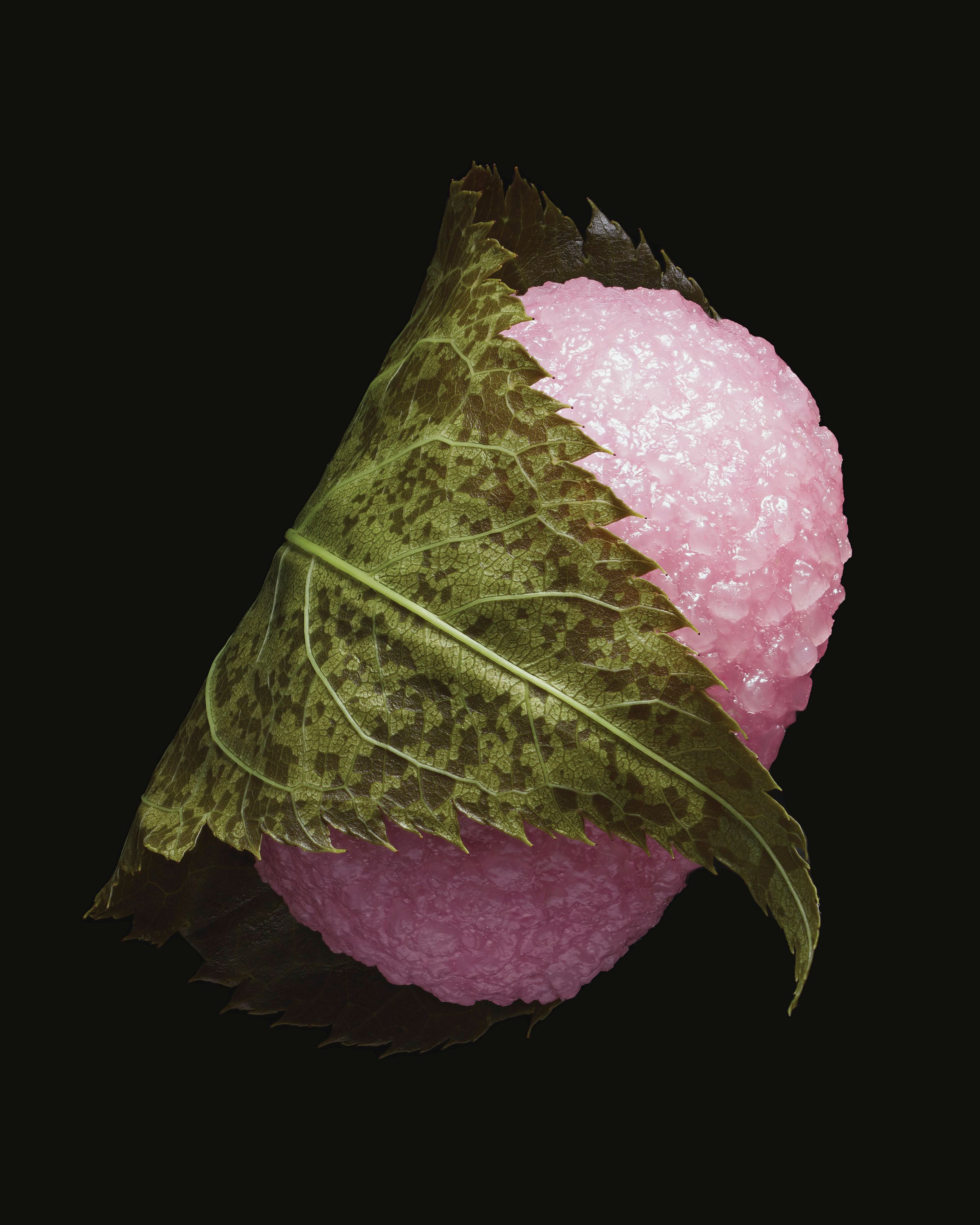 Namagashi, Delights from Toraya - Romain Roucoules