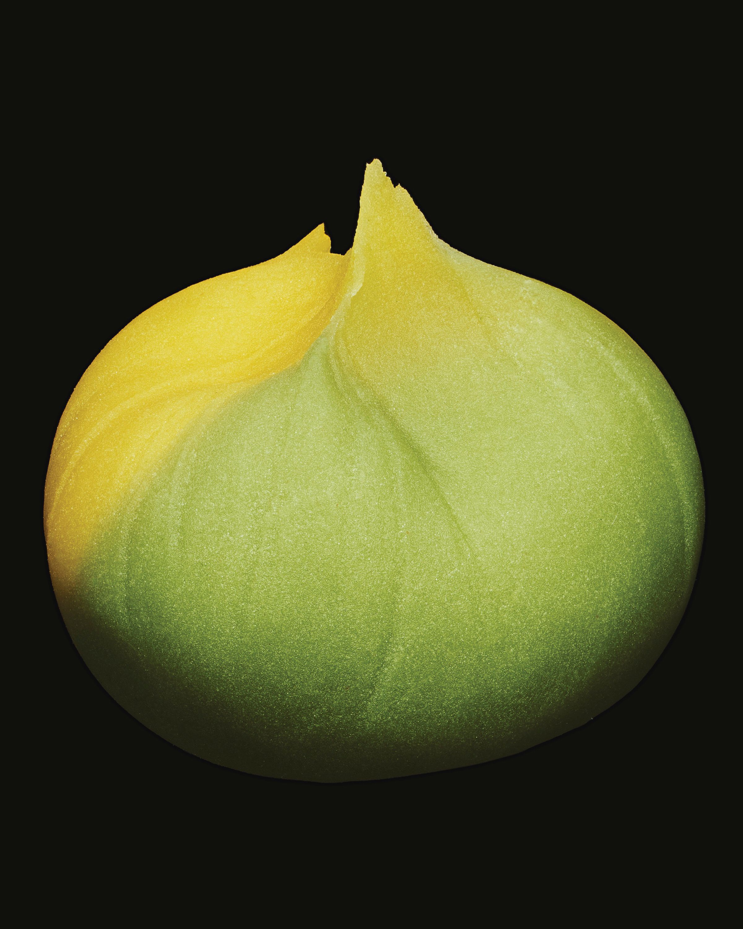 Namagashi, Delights from Toraya - Romain Roucoules