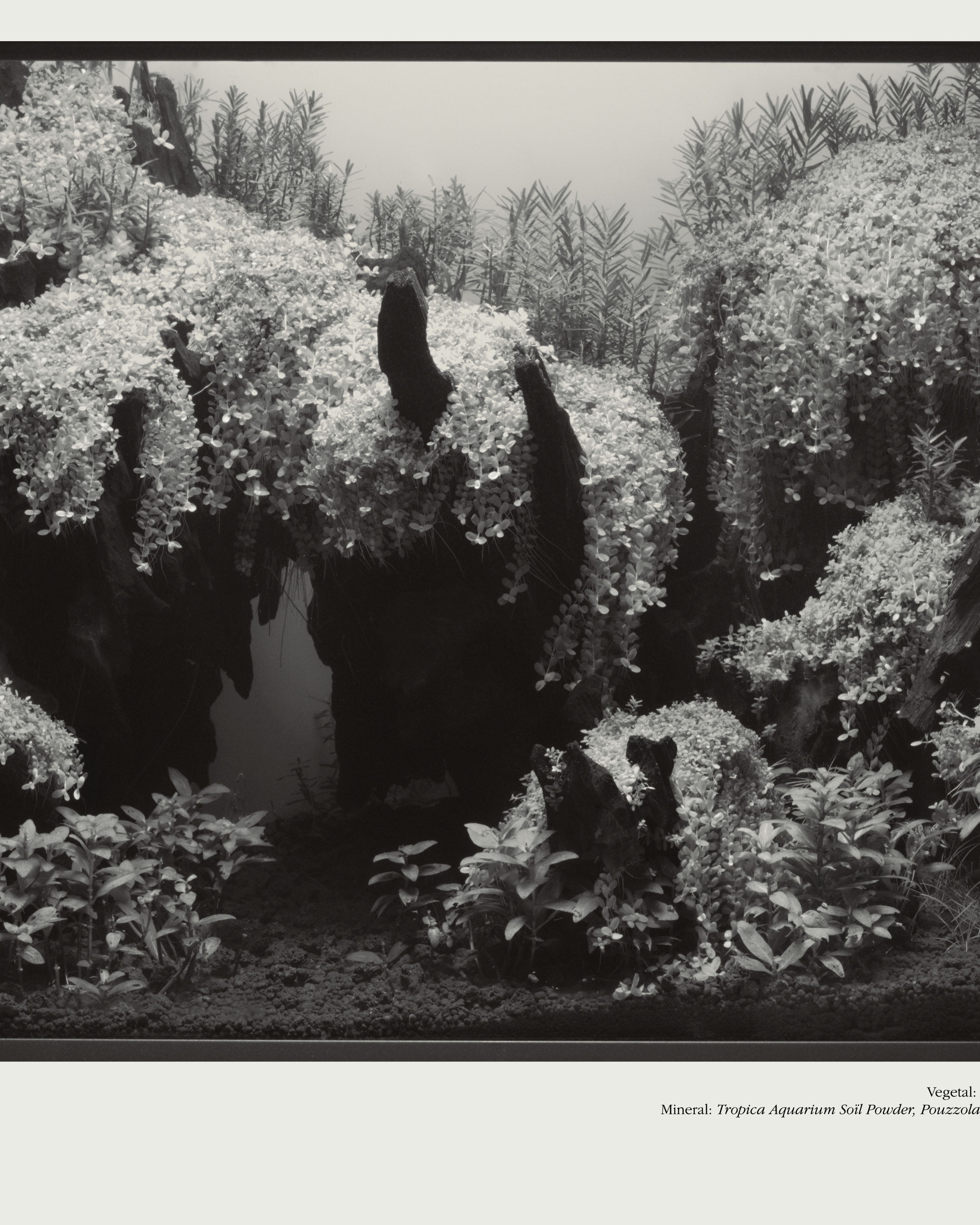 Framed Landscapes - Romain Roucoules