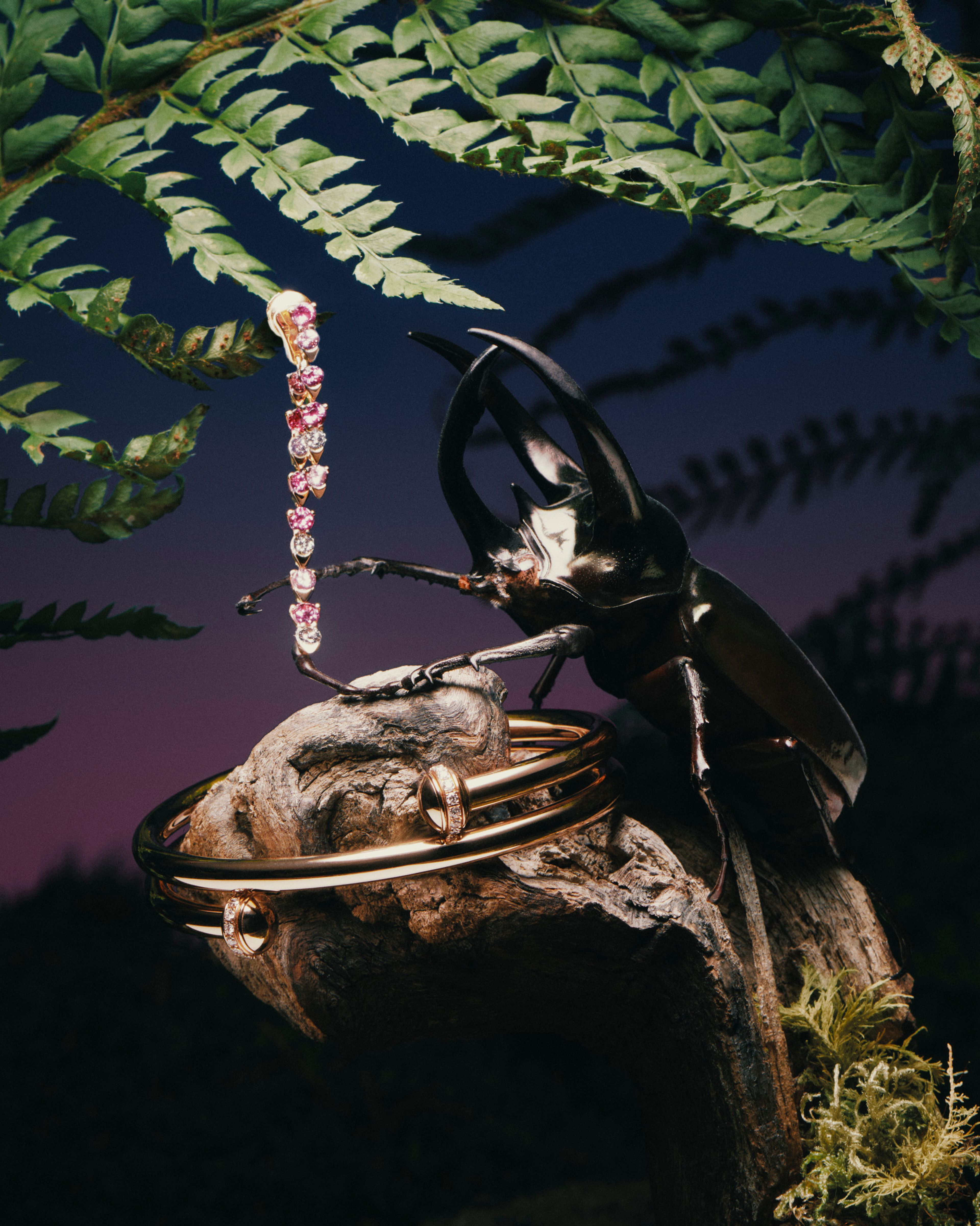 Novembre Magazine, A Bug's Life - Romain Roucoules