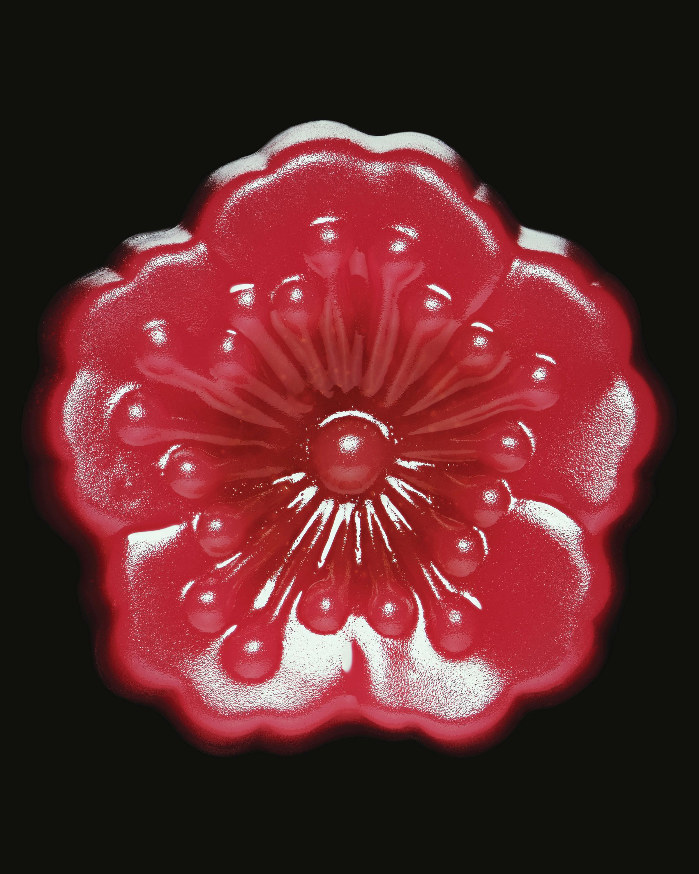 Namagashi, Delights from Toraya - Romain Roucoules