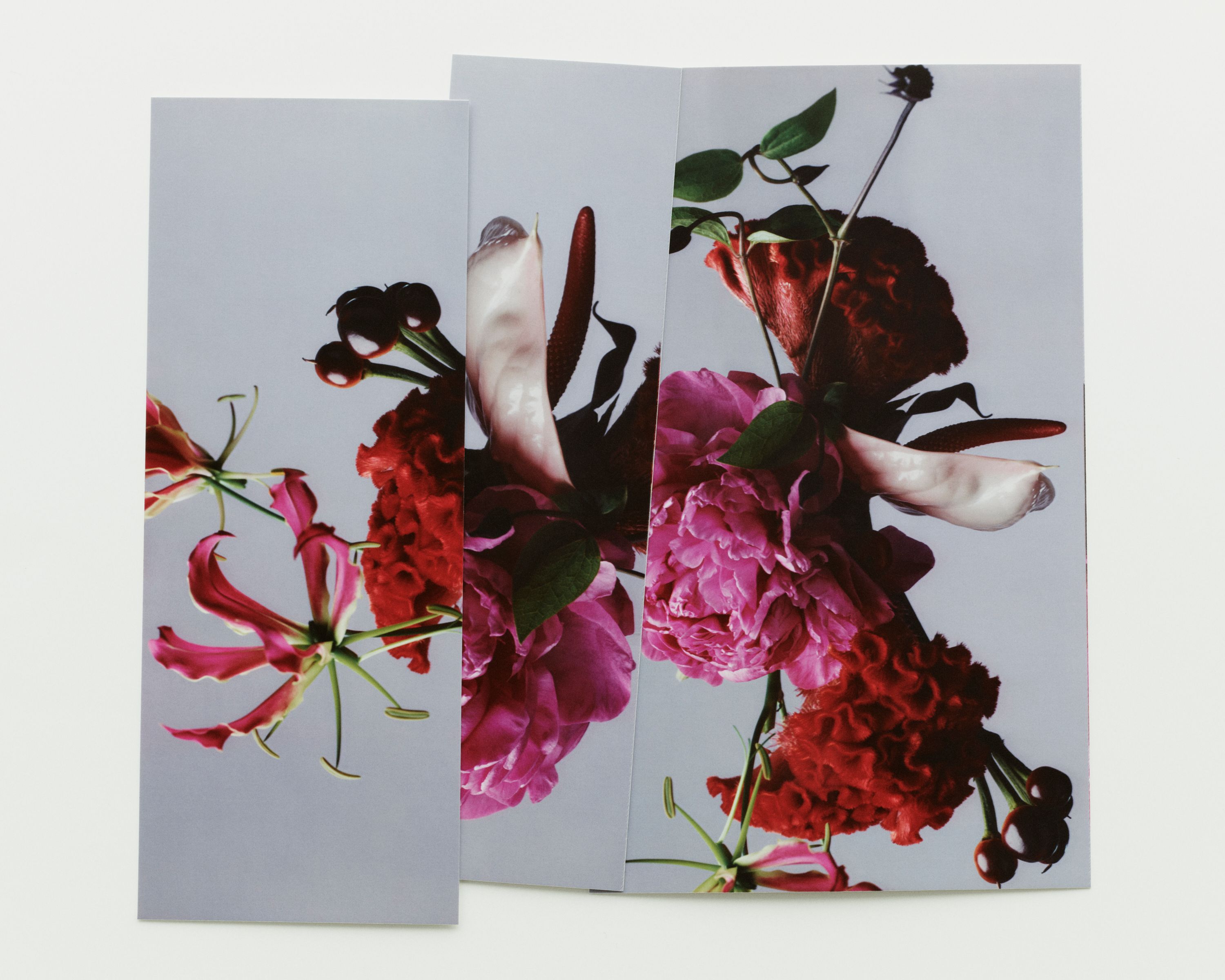 Edge & Ledge - Romain Roucoules