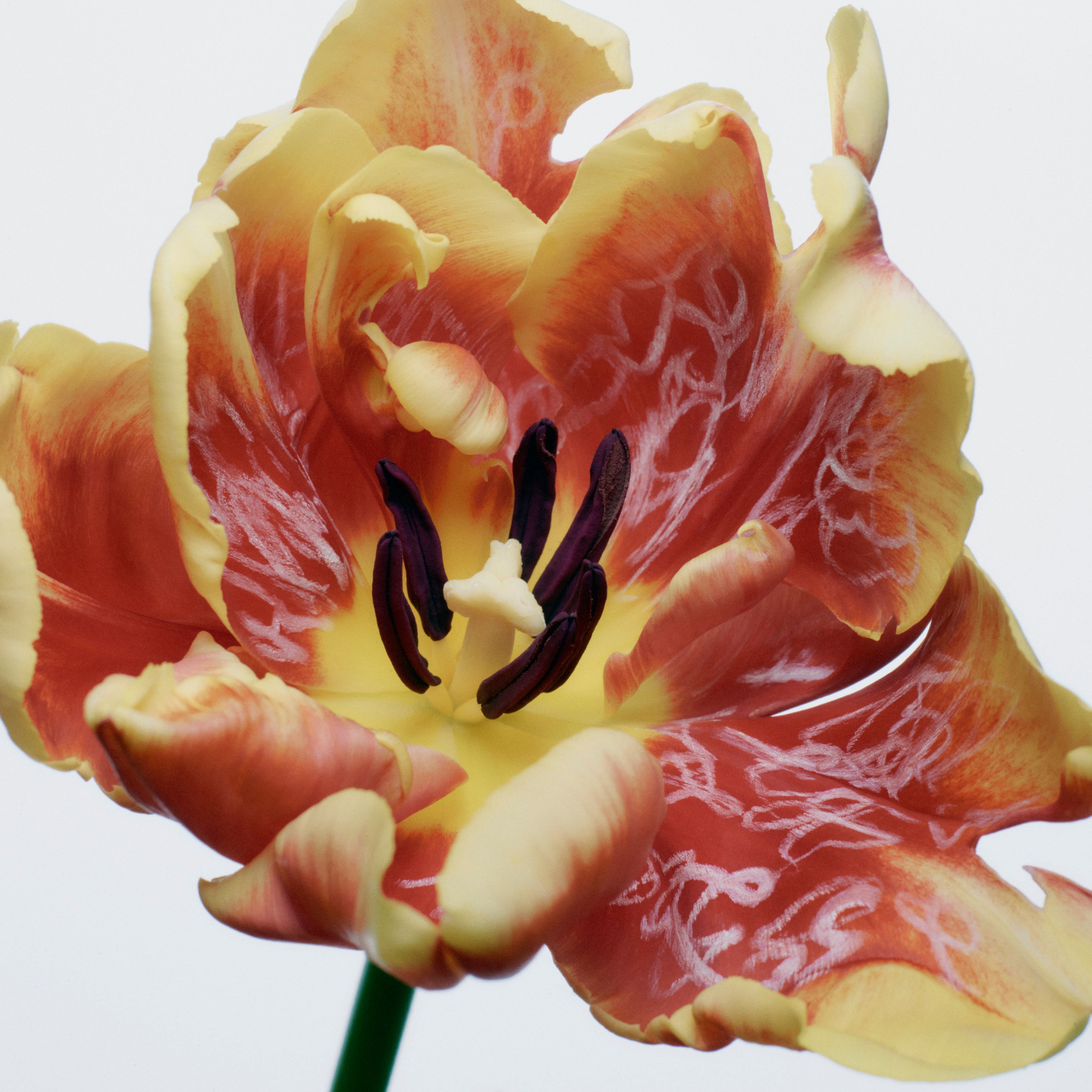 A Child's play - Romain Roucoules