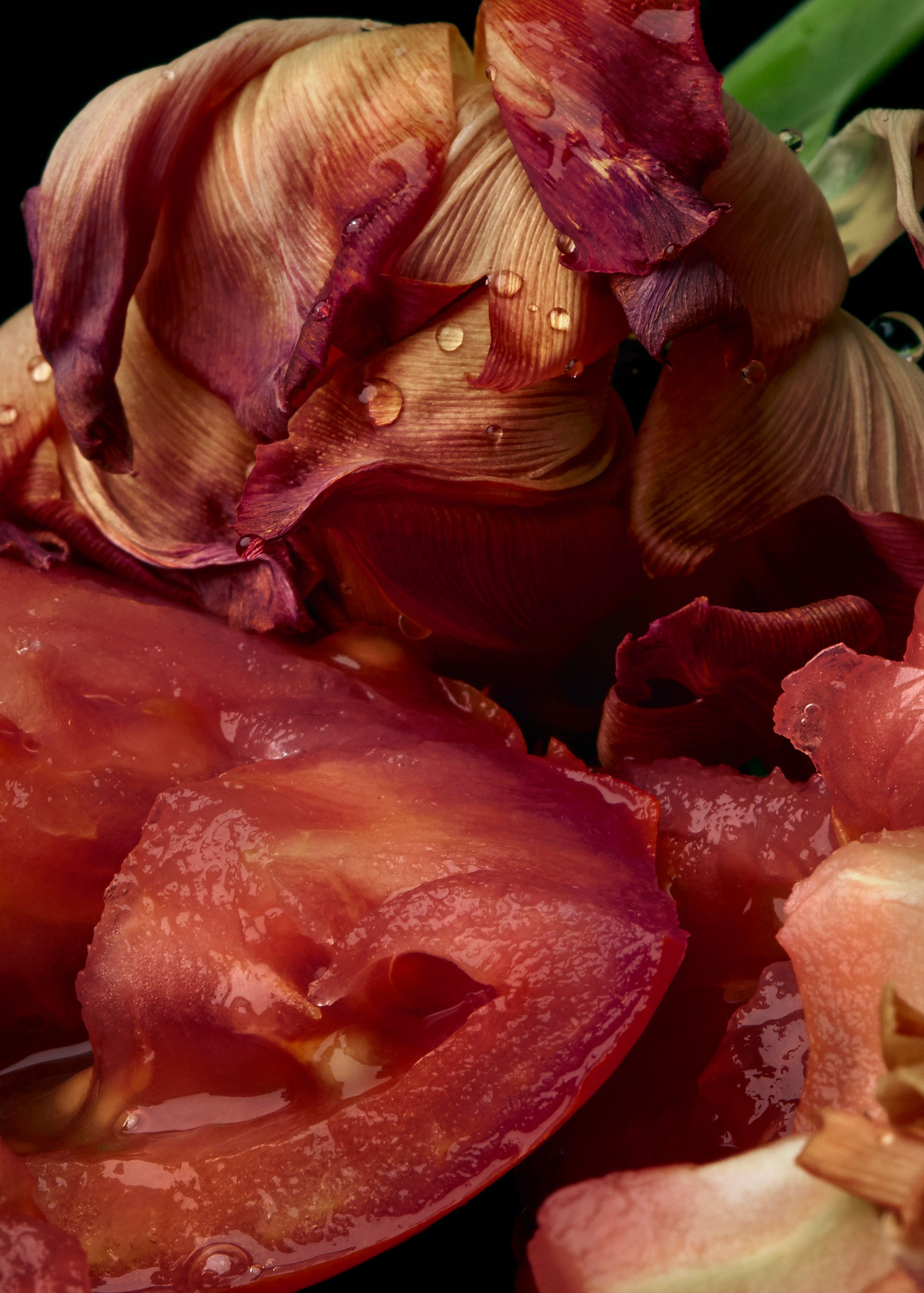 Novembre x Dazed Beauty, Salade César - Romain Roucoules