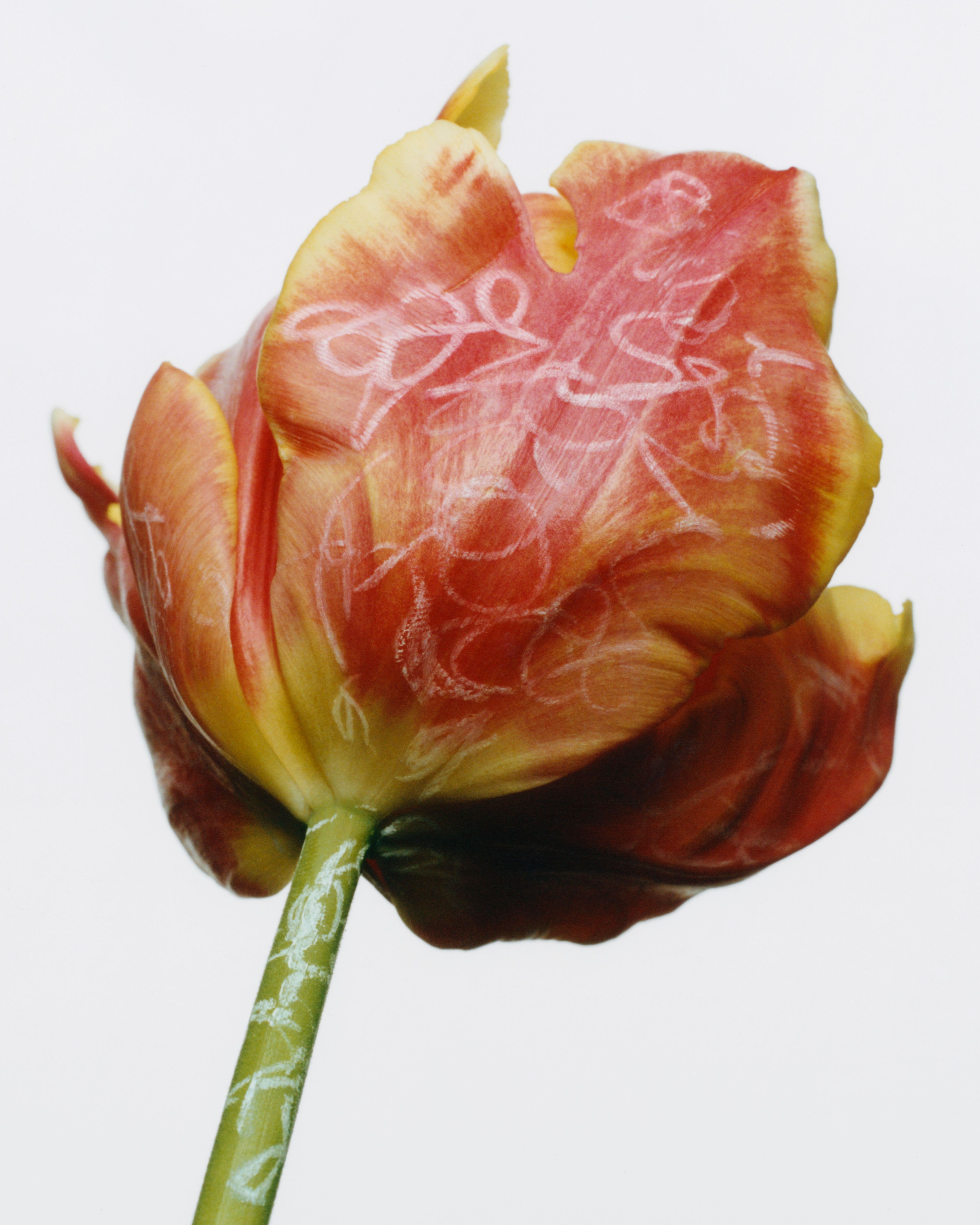 A Child's play - Romain Roucoules