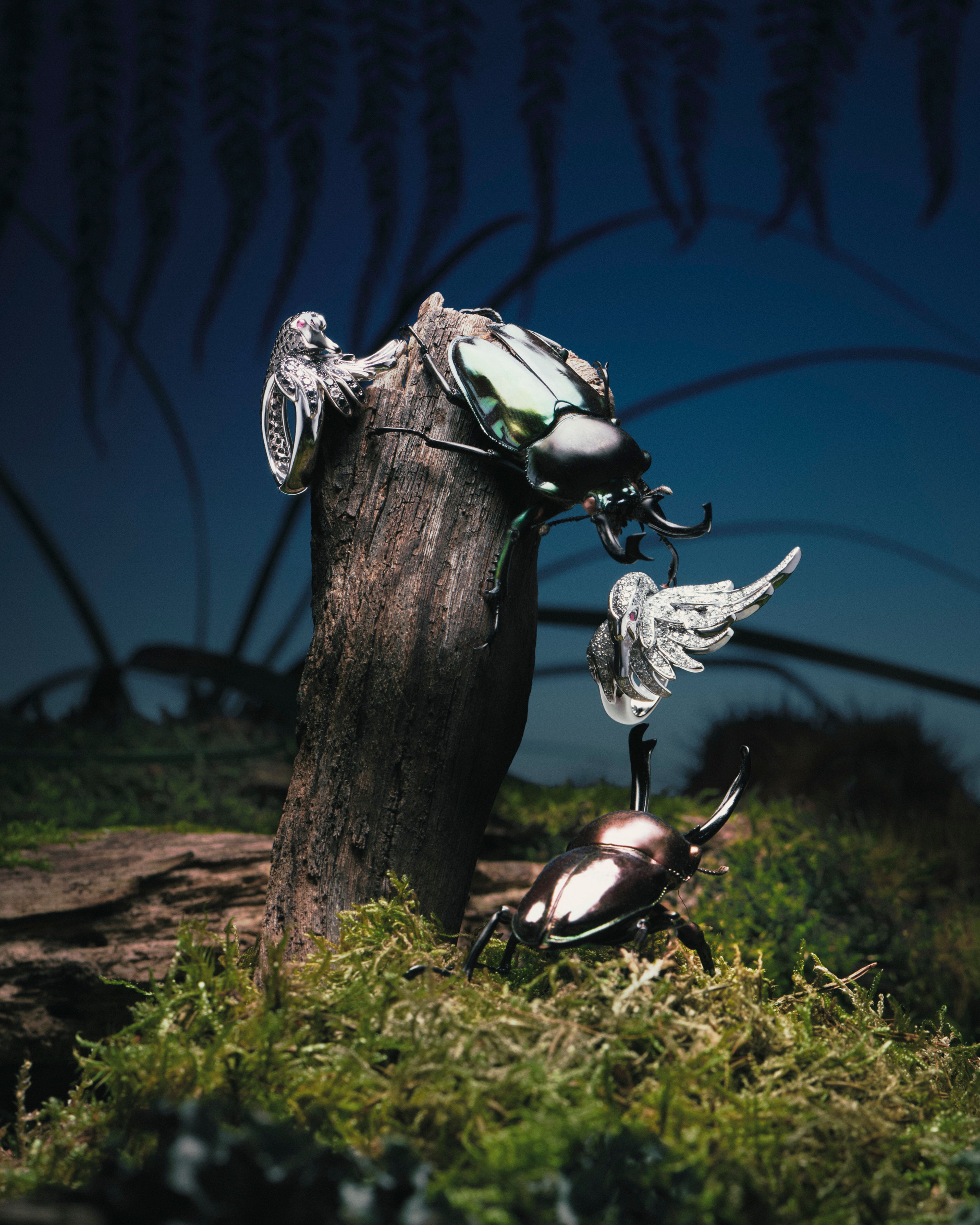 Novembre Magazine, A Bug's Life - Romain Roucoules