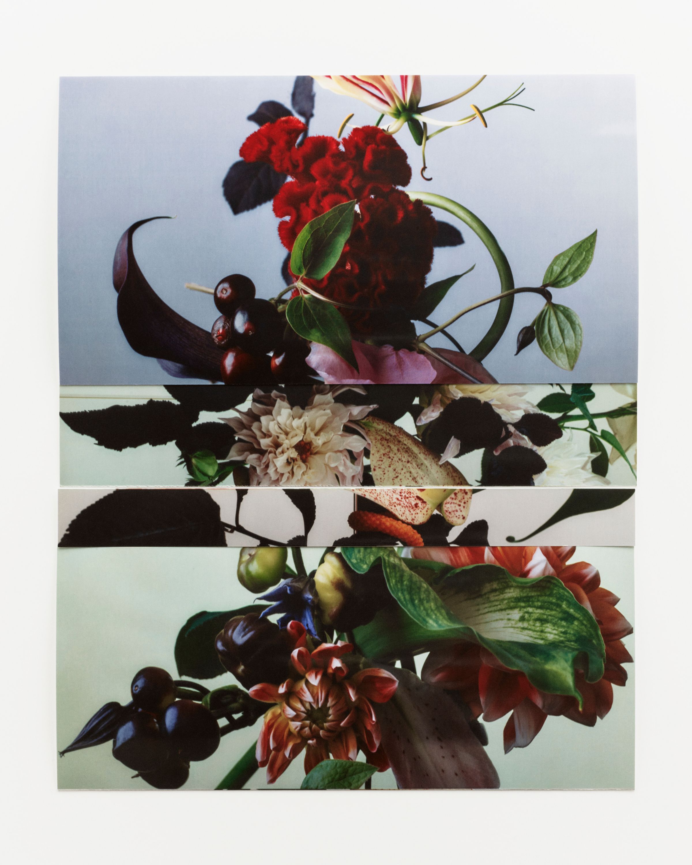 Edge & Ledge - Romain Roucoules