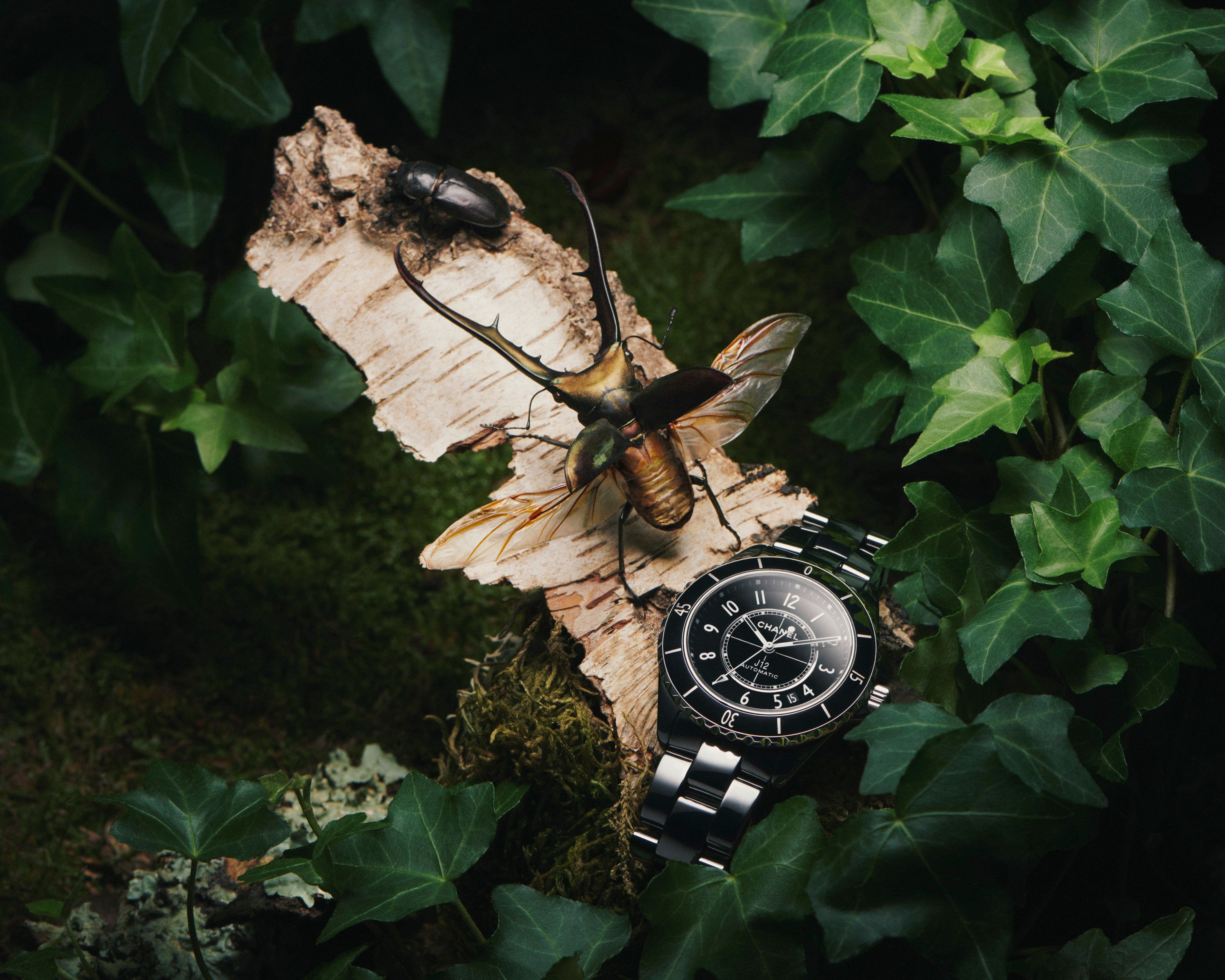 Novembre Magazine, A Bug's Life - Romain Roucoules