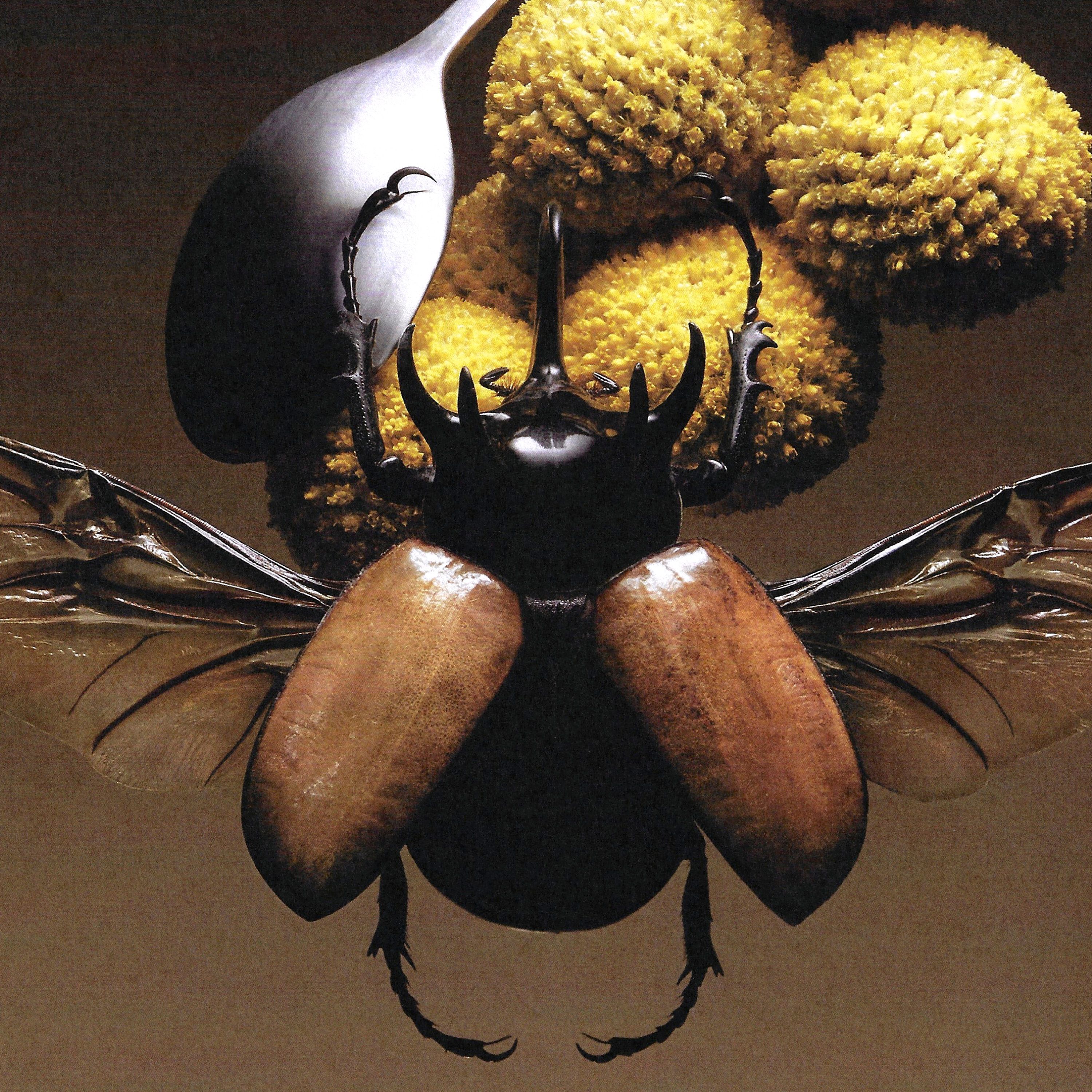 Mayday Magazine, Fictions - Romain Roucoules