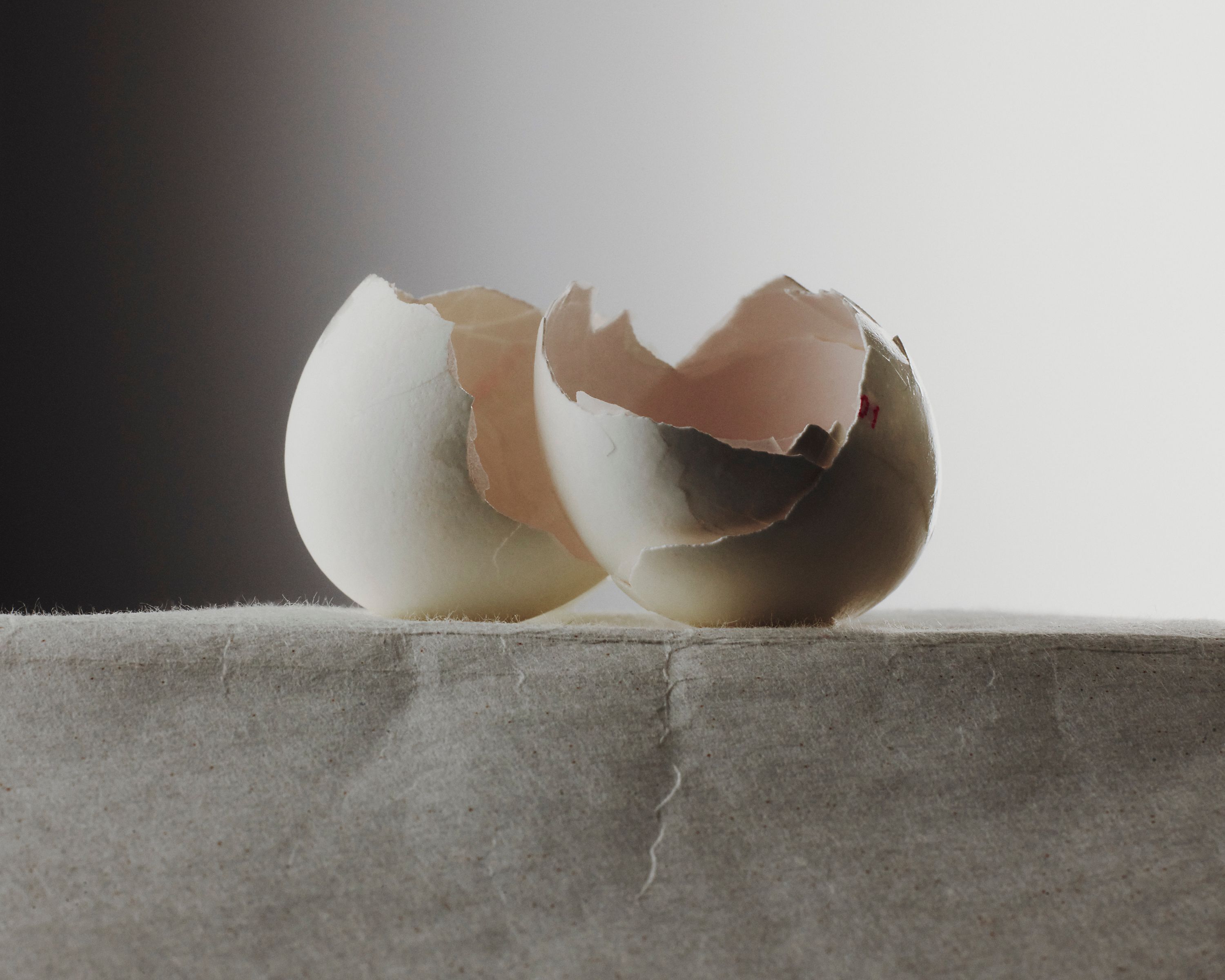 Egg Magnificentia, Danielle Karlikoff Jewellery - Romain Roucoules