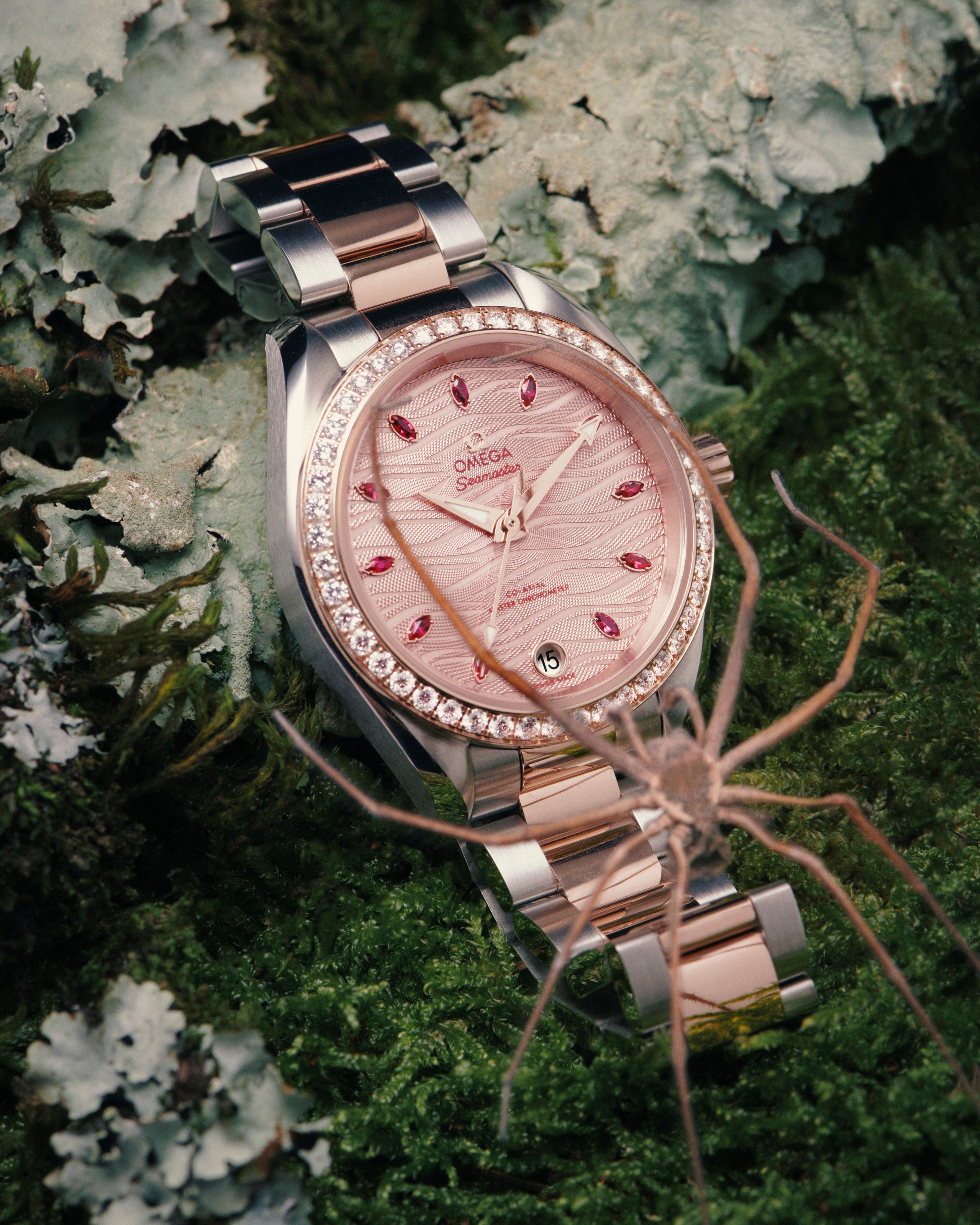 Novembre Magazine, A Bug's Life - Romain Roucoules