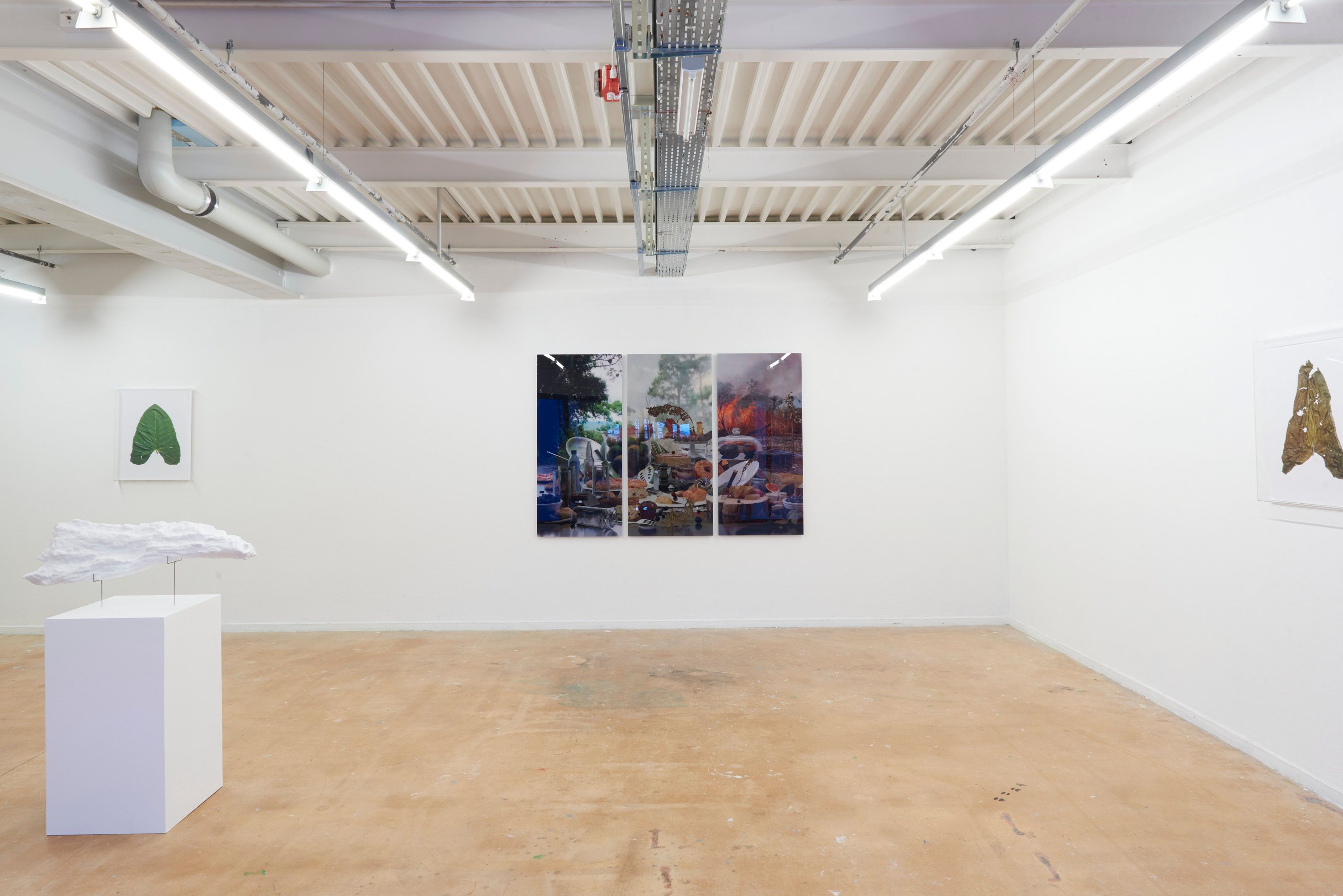 Global Solutions, ÉCAL diploma - Romain Roucoules