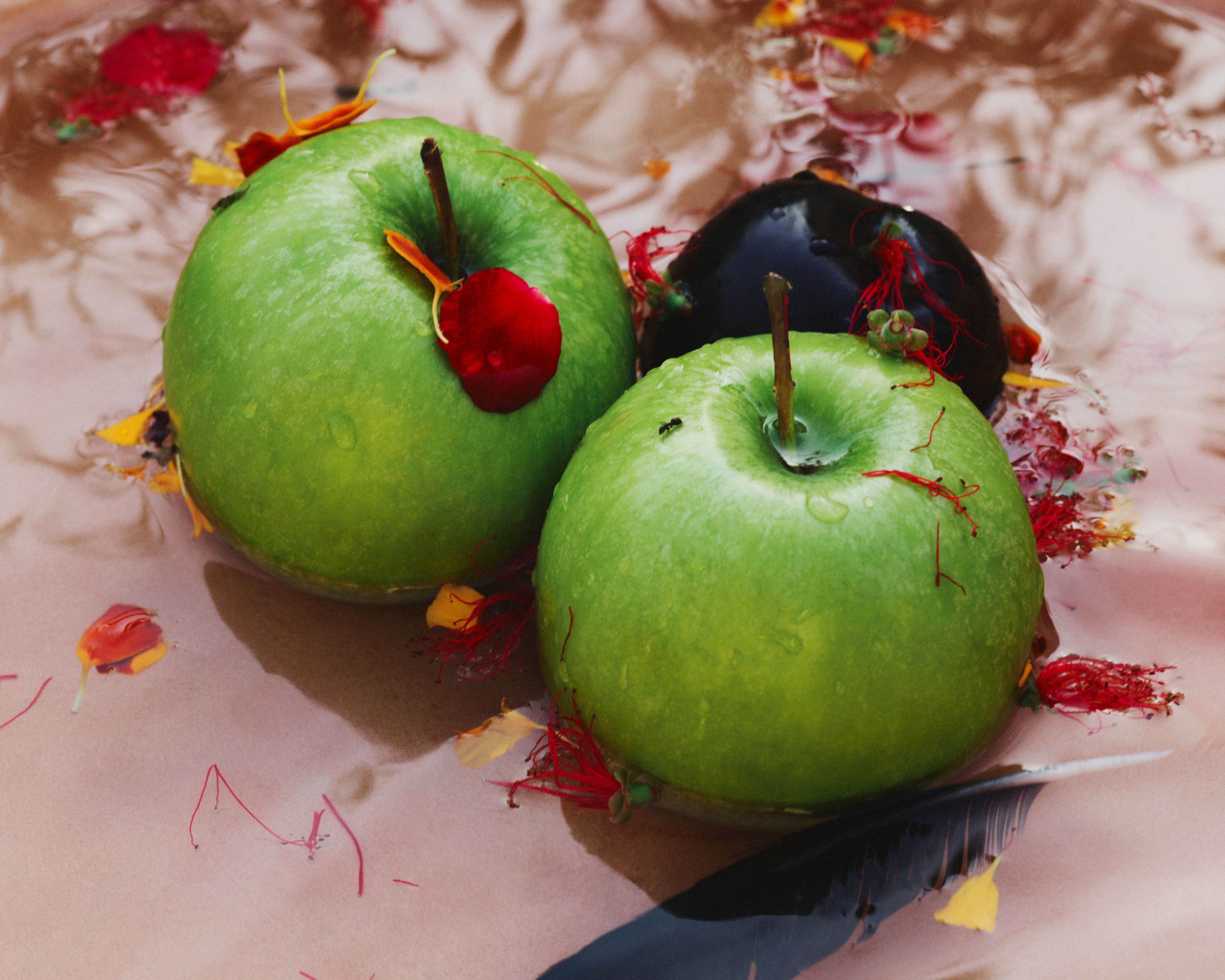 Revue Magazine, Ponds