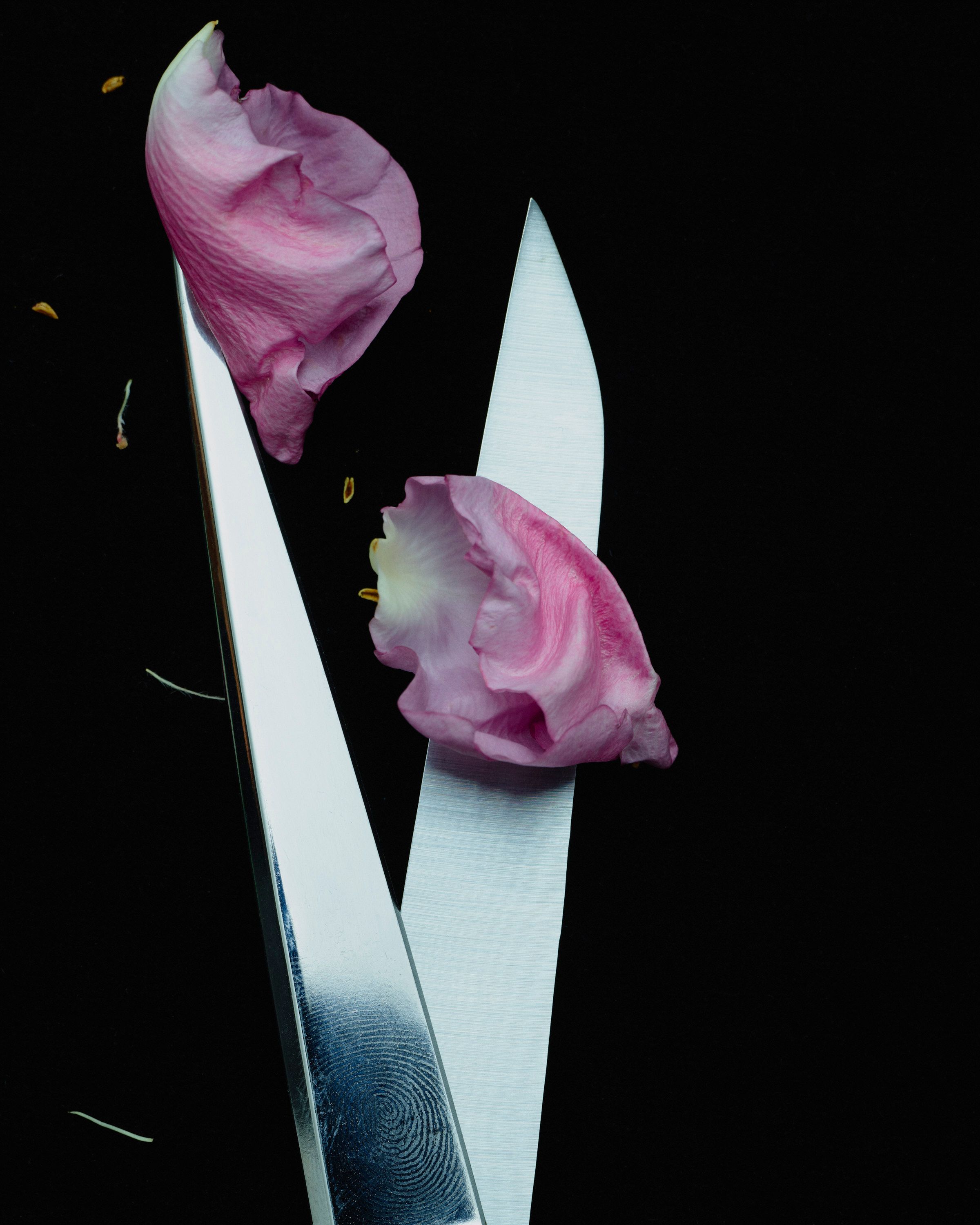 She Loves me, She loves me not - Romain Roucoules